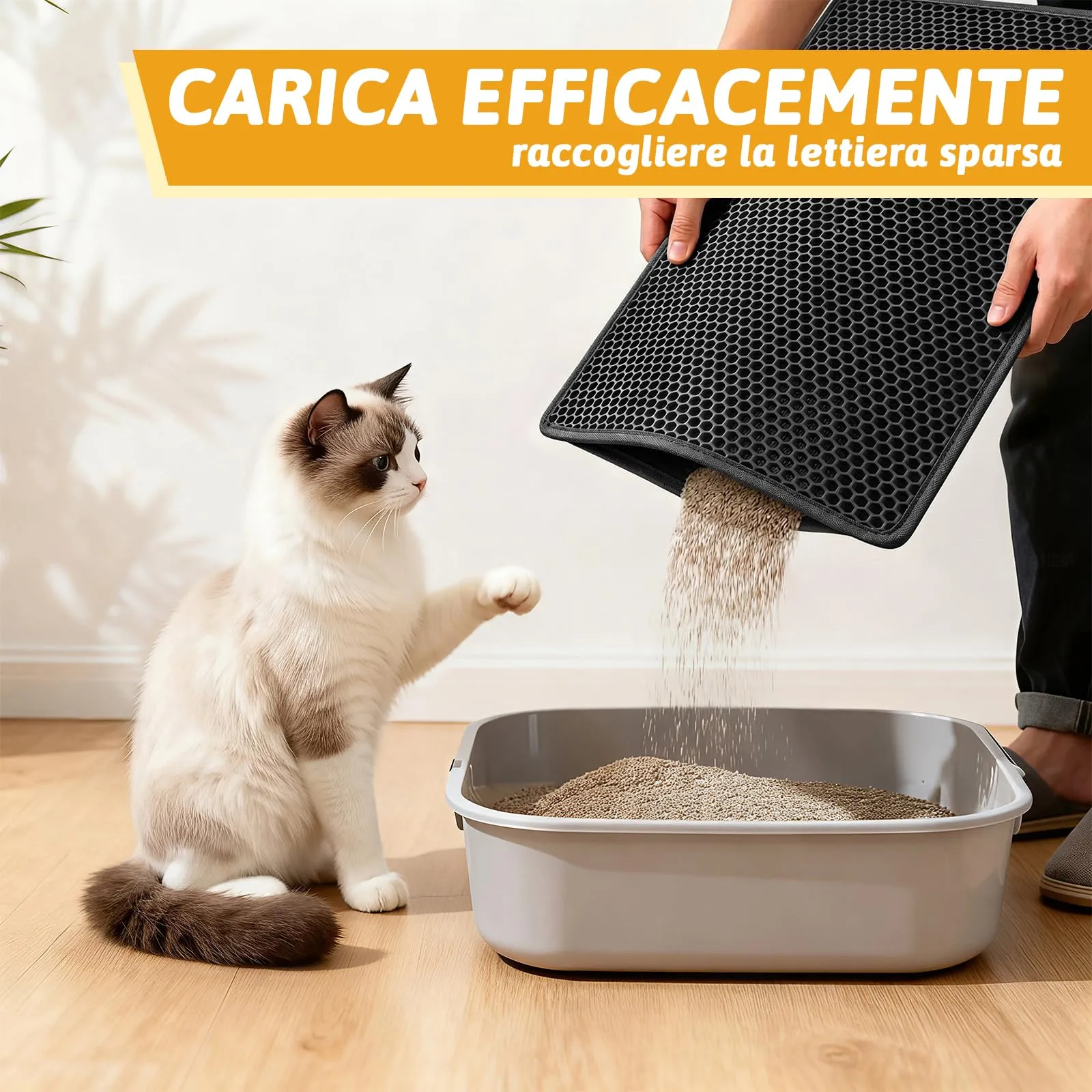 Pieviev Tappetino Lettiera Gatto, Tappeto Doppio Strato, 61x38cm Nero - immagine 4