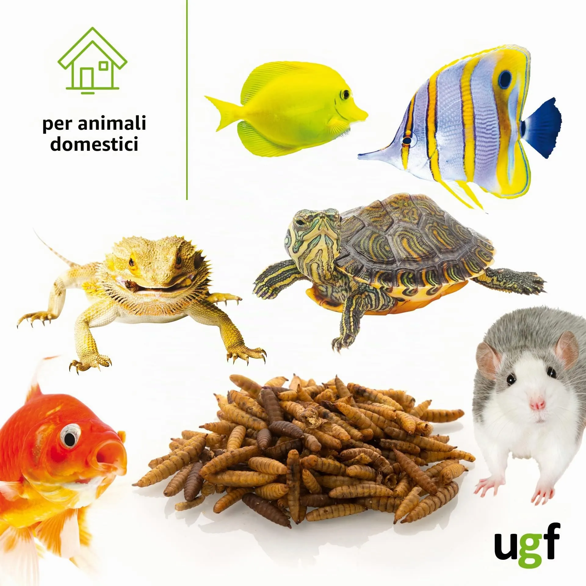 UGF - Larve di mosca soldato essiccate - 75 g in un secchio da 500 ml, Hermetia (simili ai vermi della farina), cibo per uccelli selvatici tutto l'anno, cibo per ricci, quaglie, criceti, pesci - immagine 4