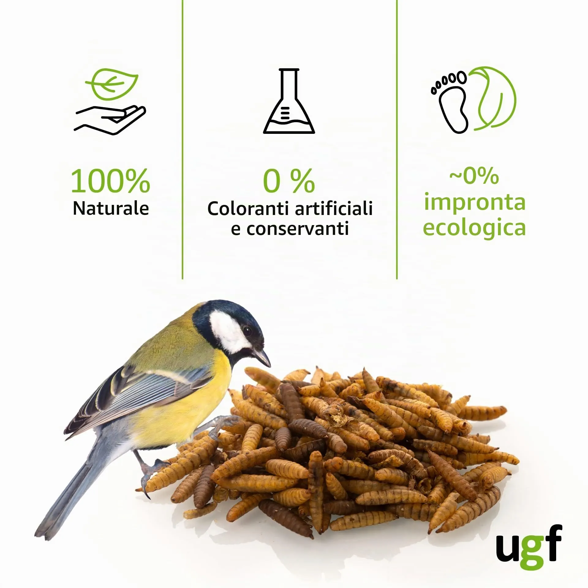 UGF - Larve di mosca soldato essiccate - 75 g in un secchio da 500 ml, Hermetia (simili ai vermi della farina), cibo per uccelli selvatici tutto l'anno, cibo per ricci, quaglie, criceti, pesci - immagine 5