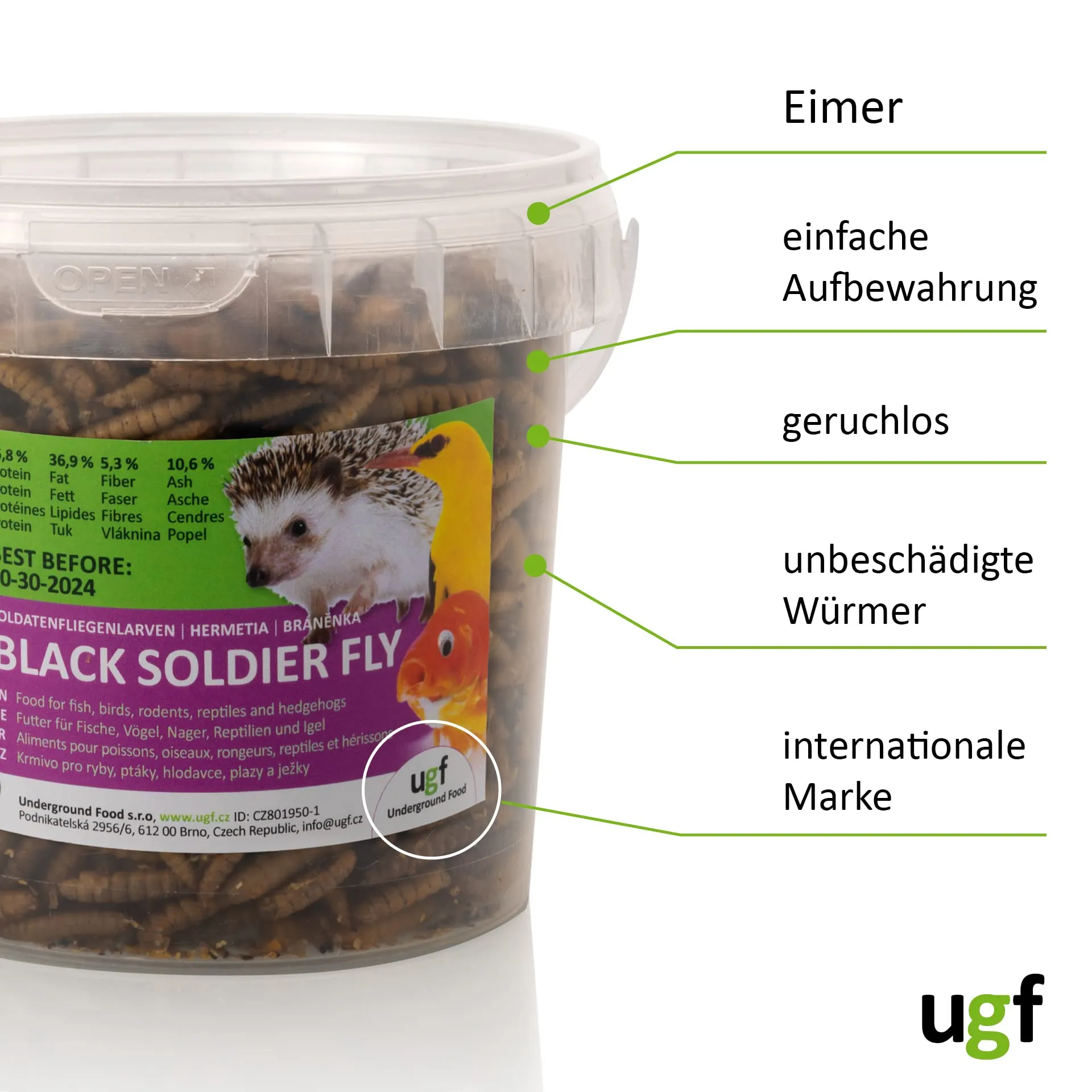 UGF - Larve di mosca soldato essiccate - 75 g in un secchio da 500 ml, Hermetia (simili ai vermi della farina), cibo per uccelli selvatici tutto l'anno, cibo per ricci, quaglie, criceti, pesci - immagine 7