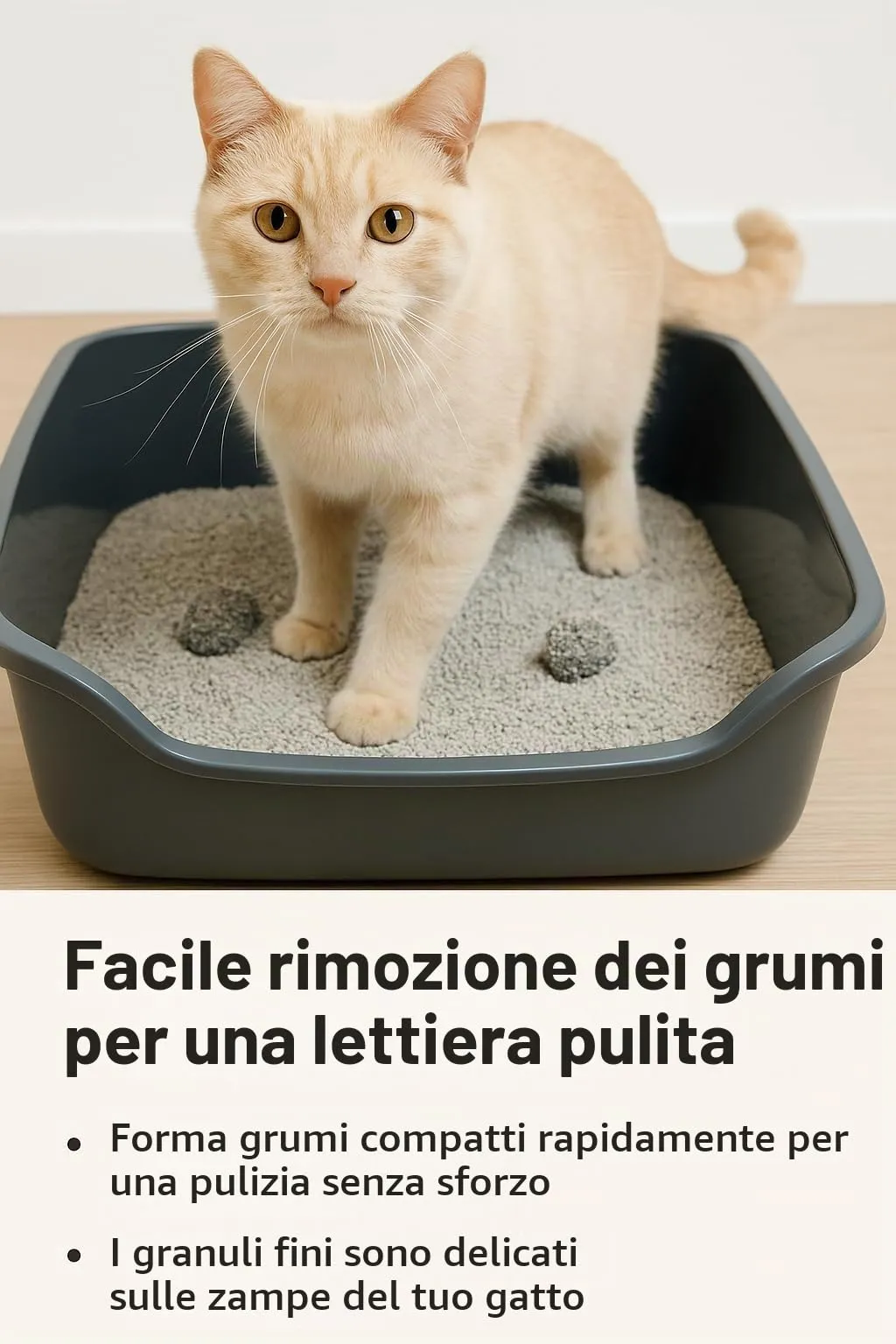Flamingo Lettiera per gatti - lettiera agglomerante - granulometria extra fine - 12L (12KG) per 10 settimane - Origine Canada - naturale & senza profumo - Ideale per 1 o più gatti - immagine 4