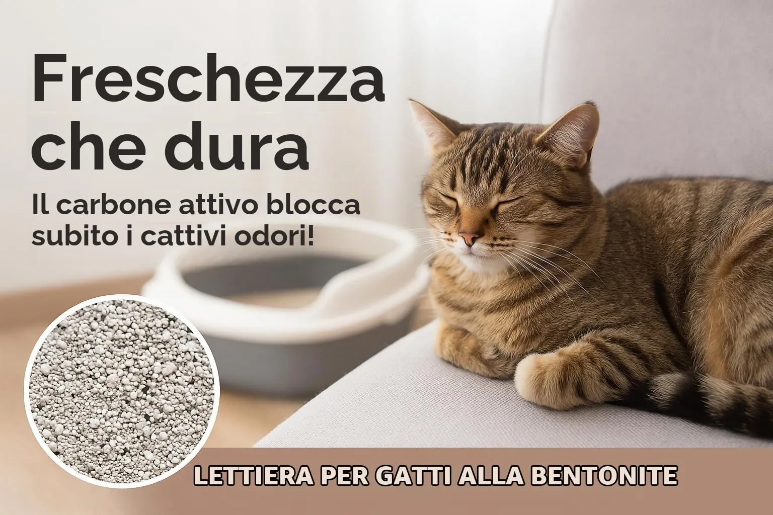 Flamingo Lettiera per gatti - lettiera agglomerante - granulometria extra fine - 12L (12KG) per 10 settimane - Origine Canada - naturale & senza profumo - Ideale per 1 o più gatti - immagine 6