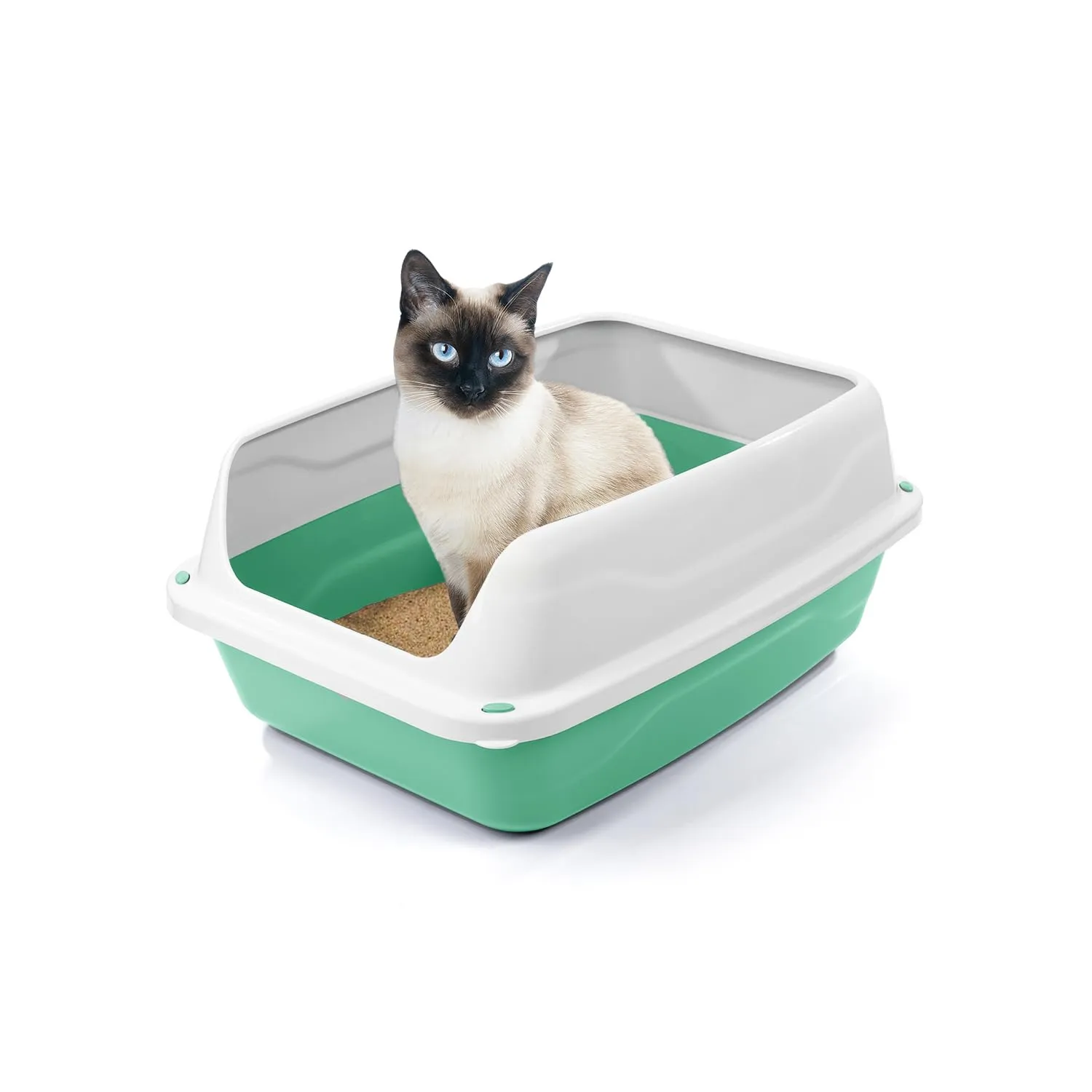 Patam lettiera aperta per gatti con bordi alti e paletta omaggio, 44.5 cm x 34 cm x 18.5 cm Made in Italy – Milù Mini Verde - immagine 2