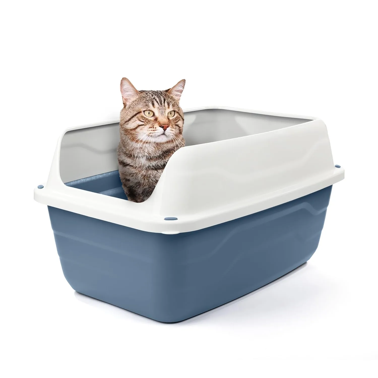 Patam lettiera aperta per gatti con bordi alti e paletta omaggio, 56 cm x 40 cm x 30 cm Made in Italy – Attila Blu - immagine 2