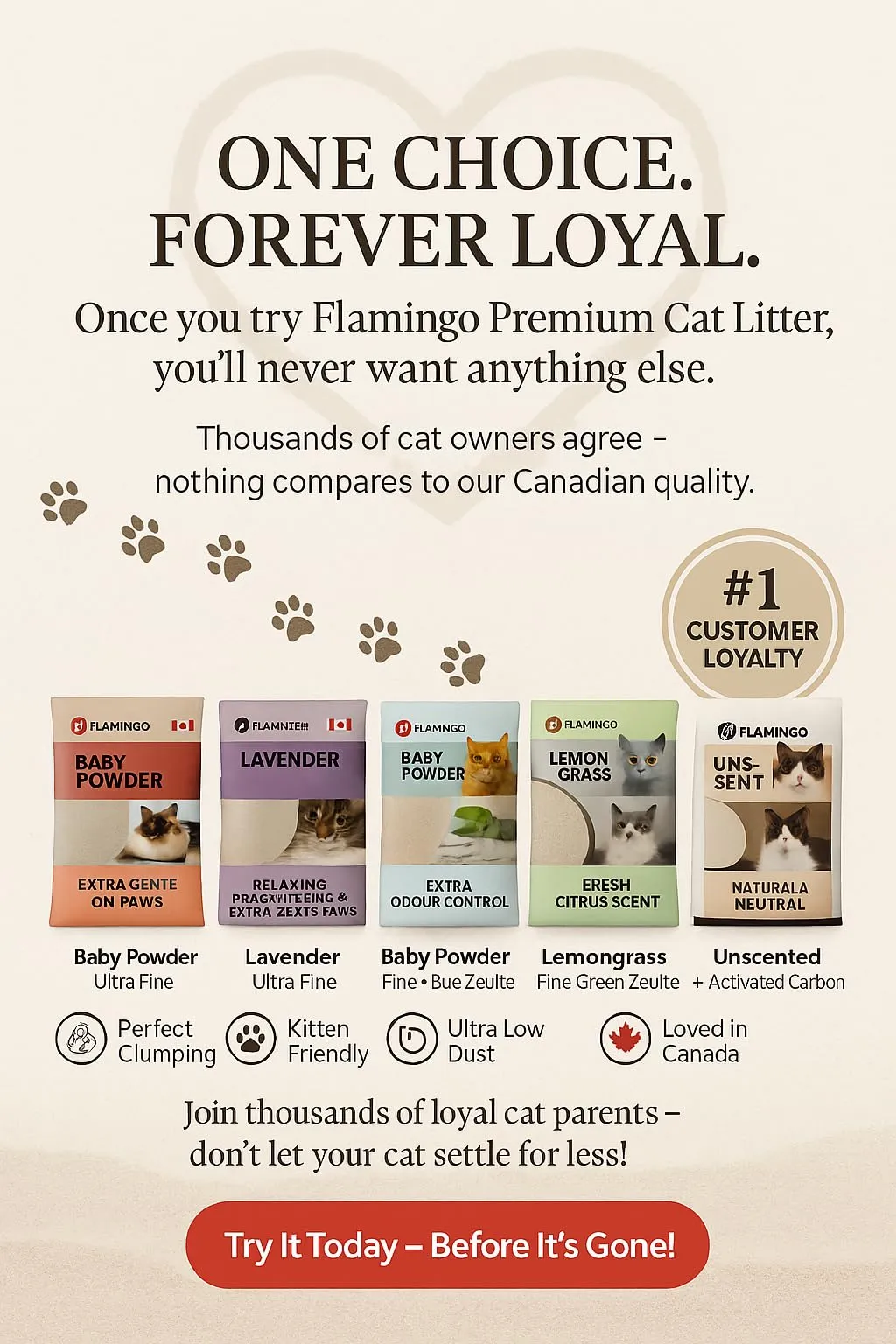 Flamingo Lettiera per gatti - lettiera agglomerante - Profumo di lavanda - 12L (12KG) per 10 settimane - Origine Canada - adatta anche per gattini Ideale per 1 o più gatti - immagine 3