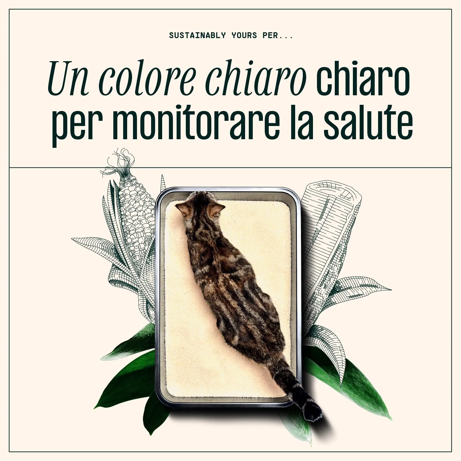 Sustainably Yours Lettiera per gatti – Formula a cereali misti 4,5 kg - immagine 4