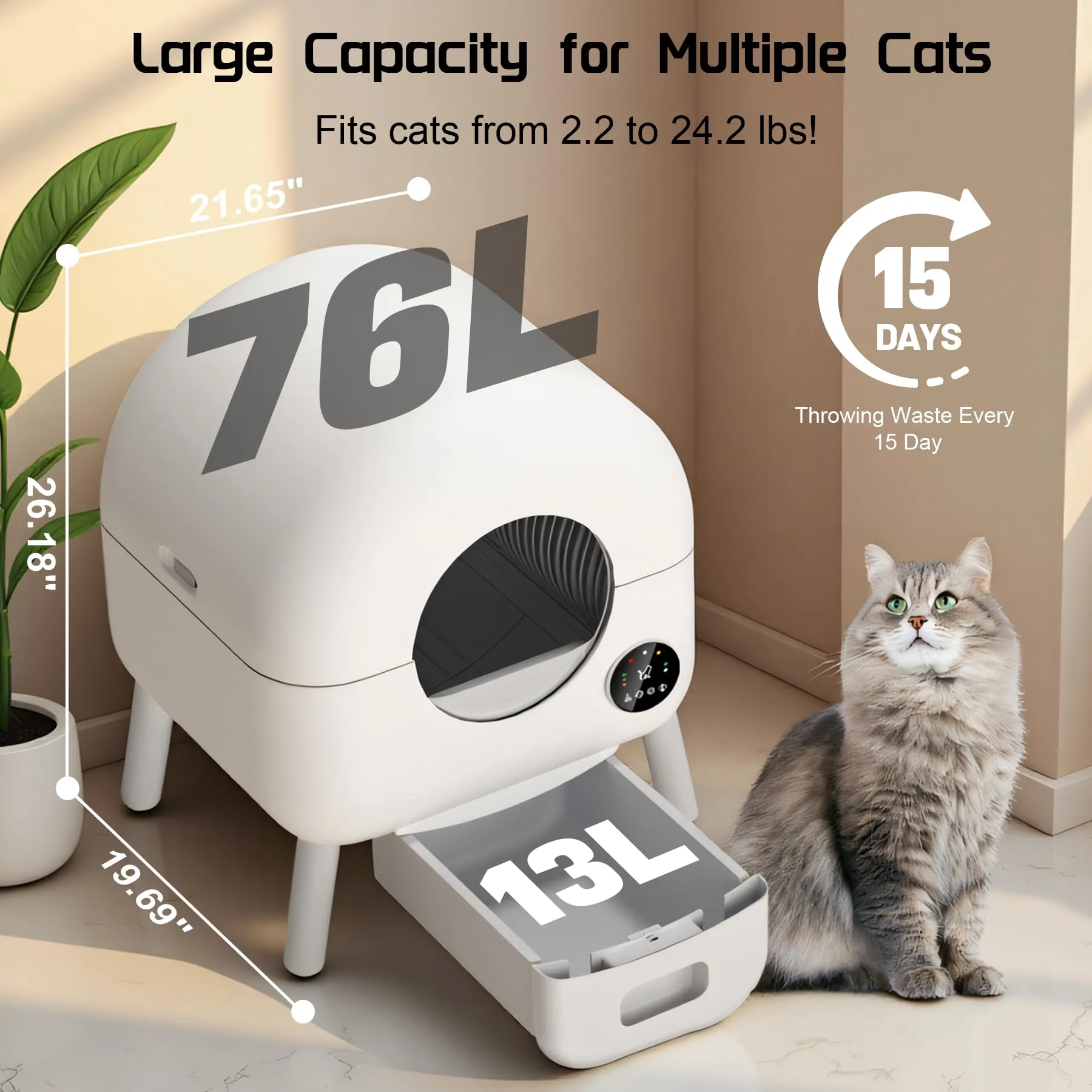 Lettiera Gatto Autopulente, Luci d'atmosfera, Lettiera Automatica - immagine 2