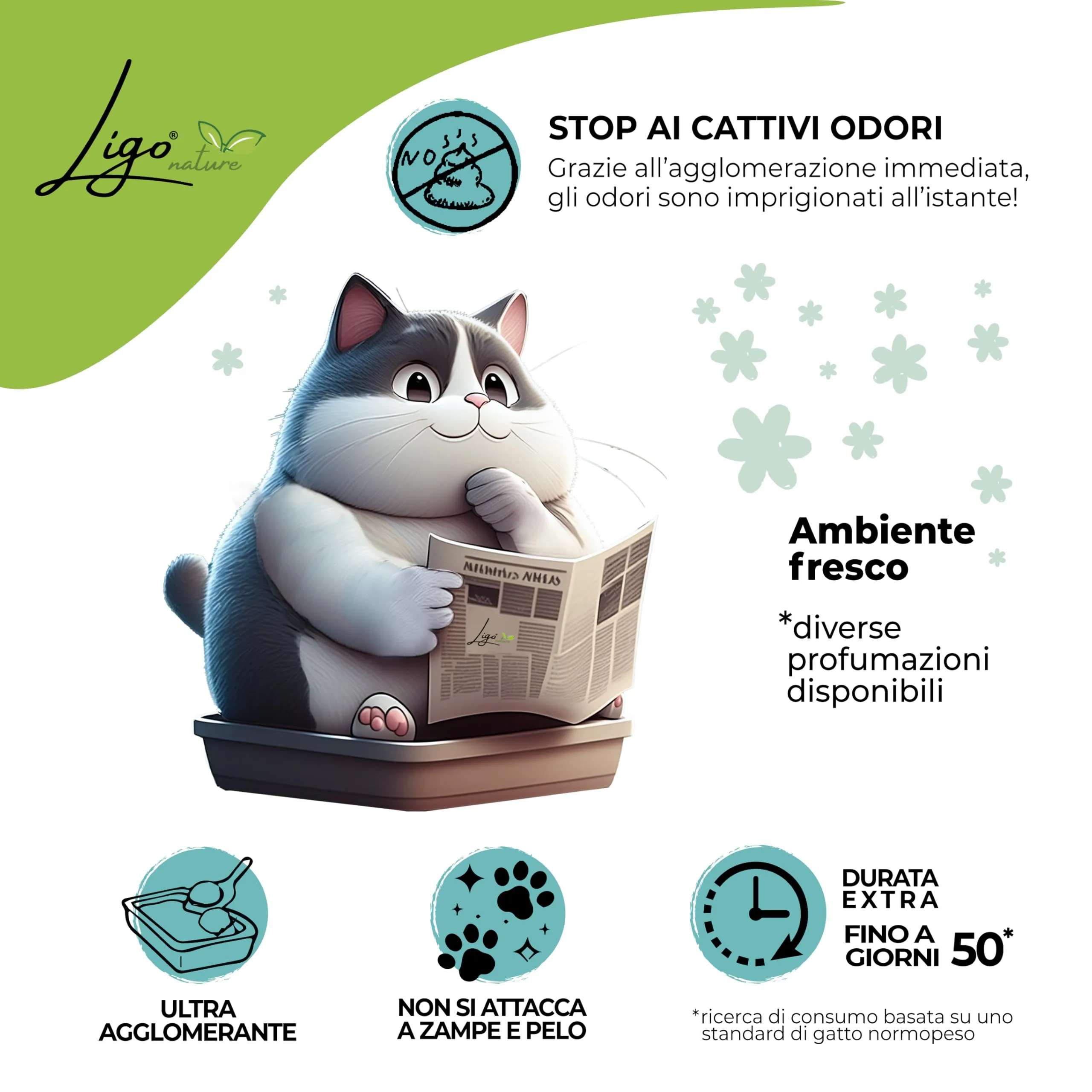 Ligo Nature Lettiera gatto |neutro |ecologica|ultra assorbente|assorbimento rapido|controllo degli odori|10l - immagine 5