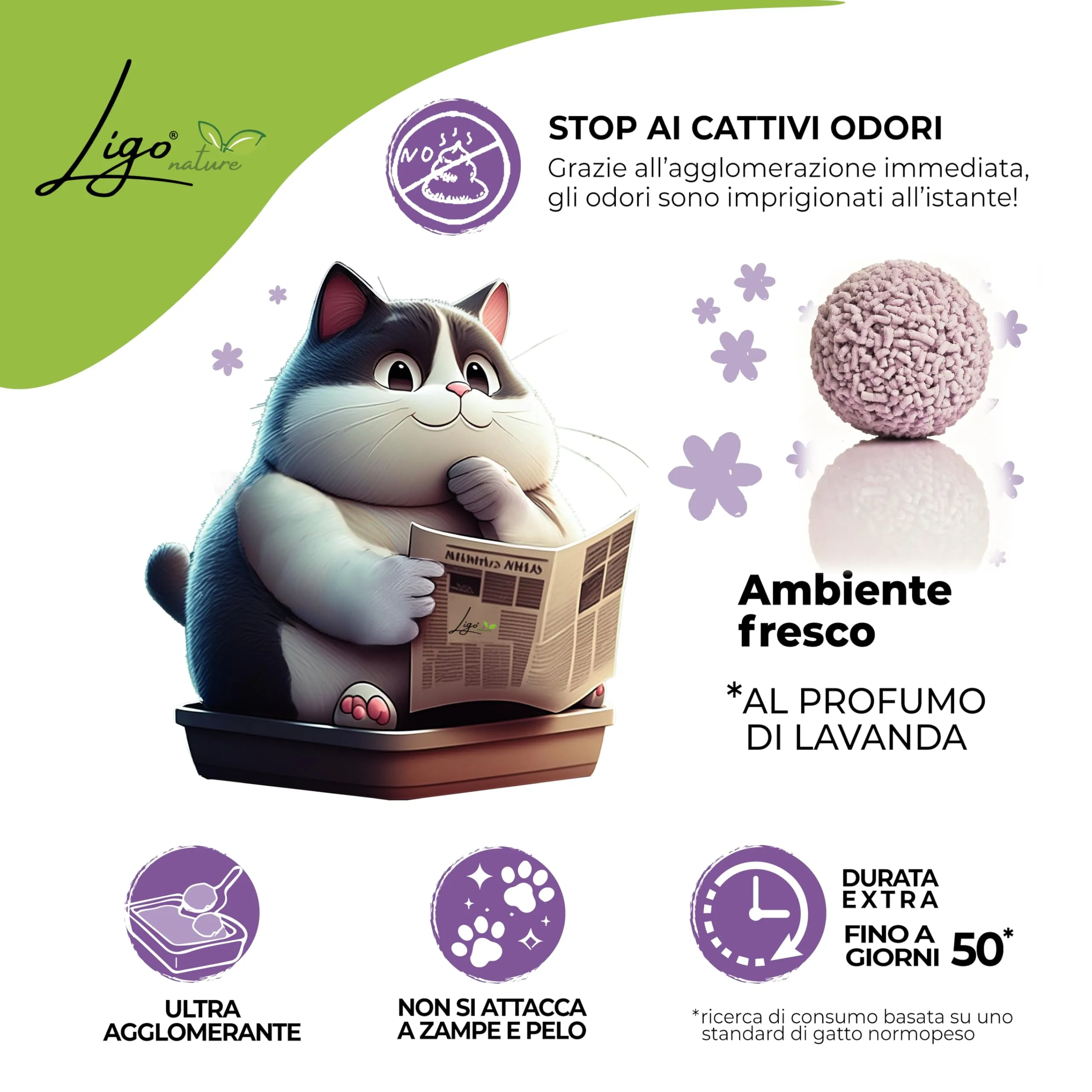 Ligo Nature Lettiera gatto TOFU |SUPER AGGLOMERANTE neutra|ecologica|ultra assorbente|assorbimento rapido|controllo degli odori| 1confezioni da 4,5kg (10 l, lavanda) - immagine 4