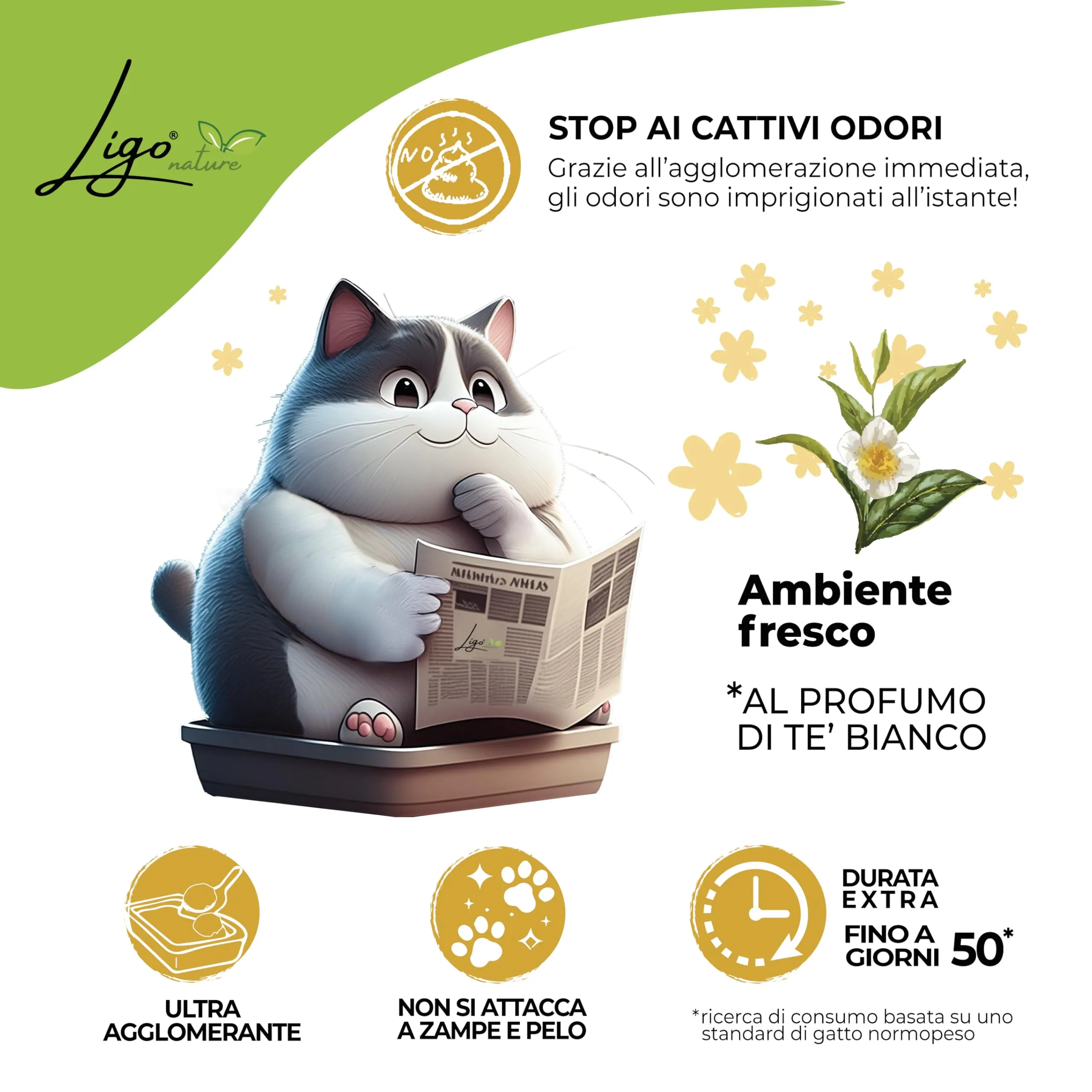 Ligo Nature|Lettiera gatto|La mia lettiera Tofu|profumazione tè bianco|ecologica|ultra assorbente|assorbimento rapido|10l - immagine 3