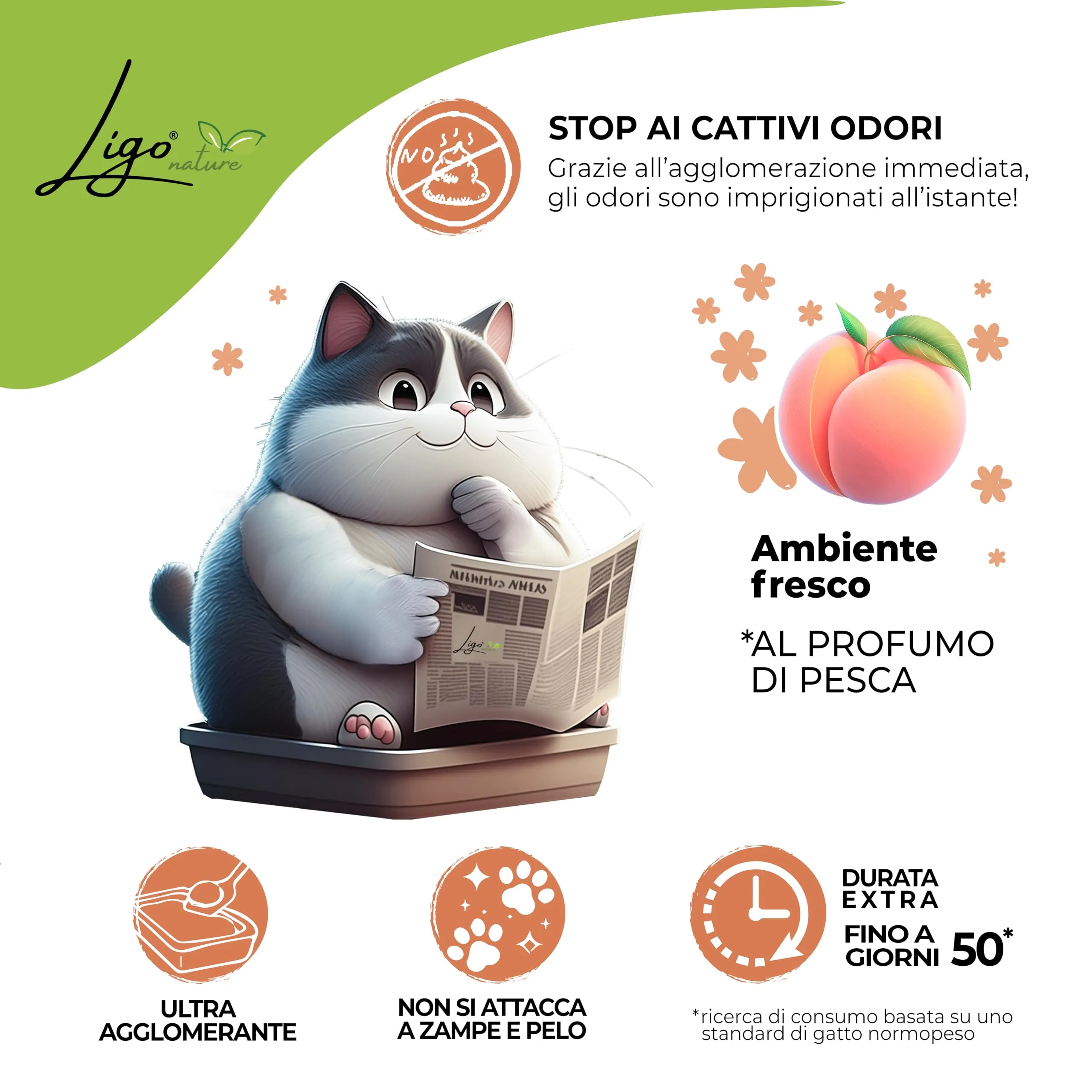 Ligo Nature Lettiera gatto |SUPER AGGLOMERANTE neutra|ecologica|ultra assorbente|assorbimento rapido|controllo degli odori| confezioni da 4,5 kg (10 l, pesca) - immagine 4