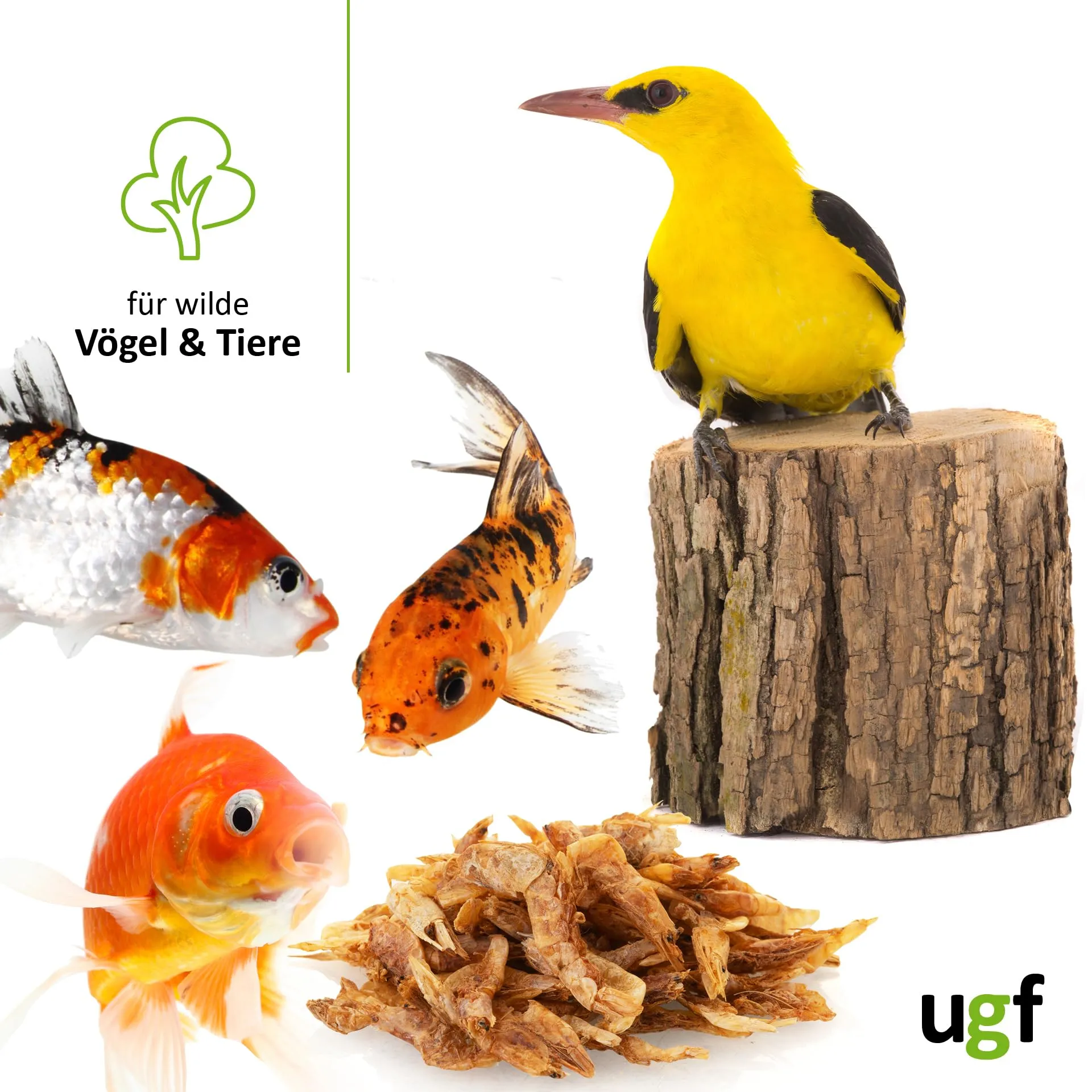 UGF - Gamberetti essiccati - 400 g in un secchio da 3 litri, Insetti gamberetti, Cibo per uccelli selvatici (tutto l'anno), Snack per cani, Cibo per tartarughe, roditori, lucertole, pesci - immagine 3