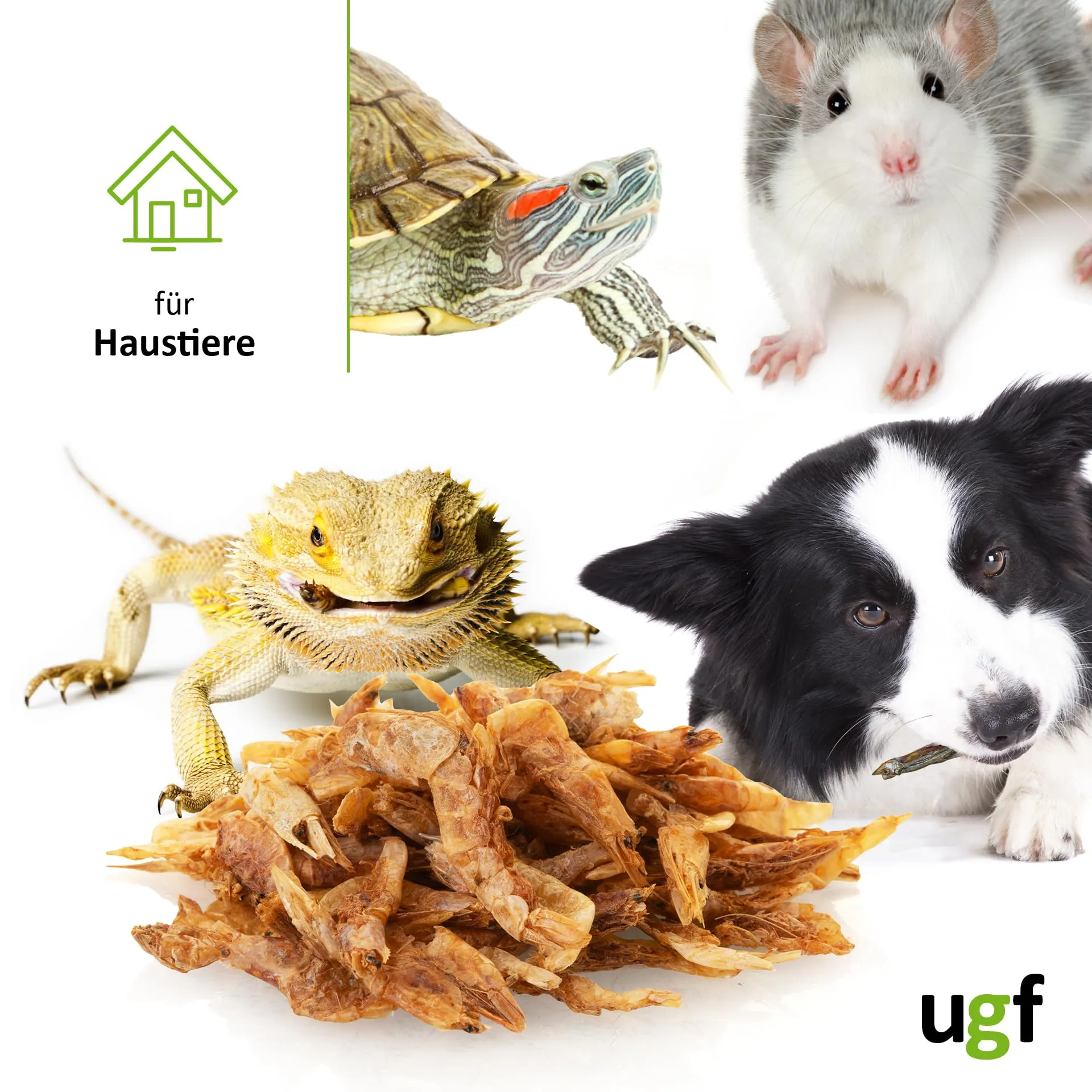UGF - Gamberetti essiccati - 400 g in un secchio da 3 litri, Insetti gamberetti, Cibo per uccelli selvatici (tutto l'anno), Snack per cani, Cibo per tartarughe, roditori, lucertole, pesci - immagine 4