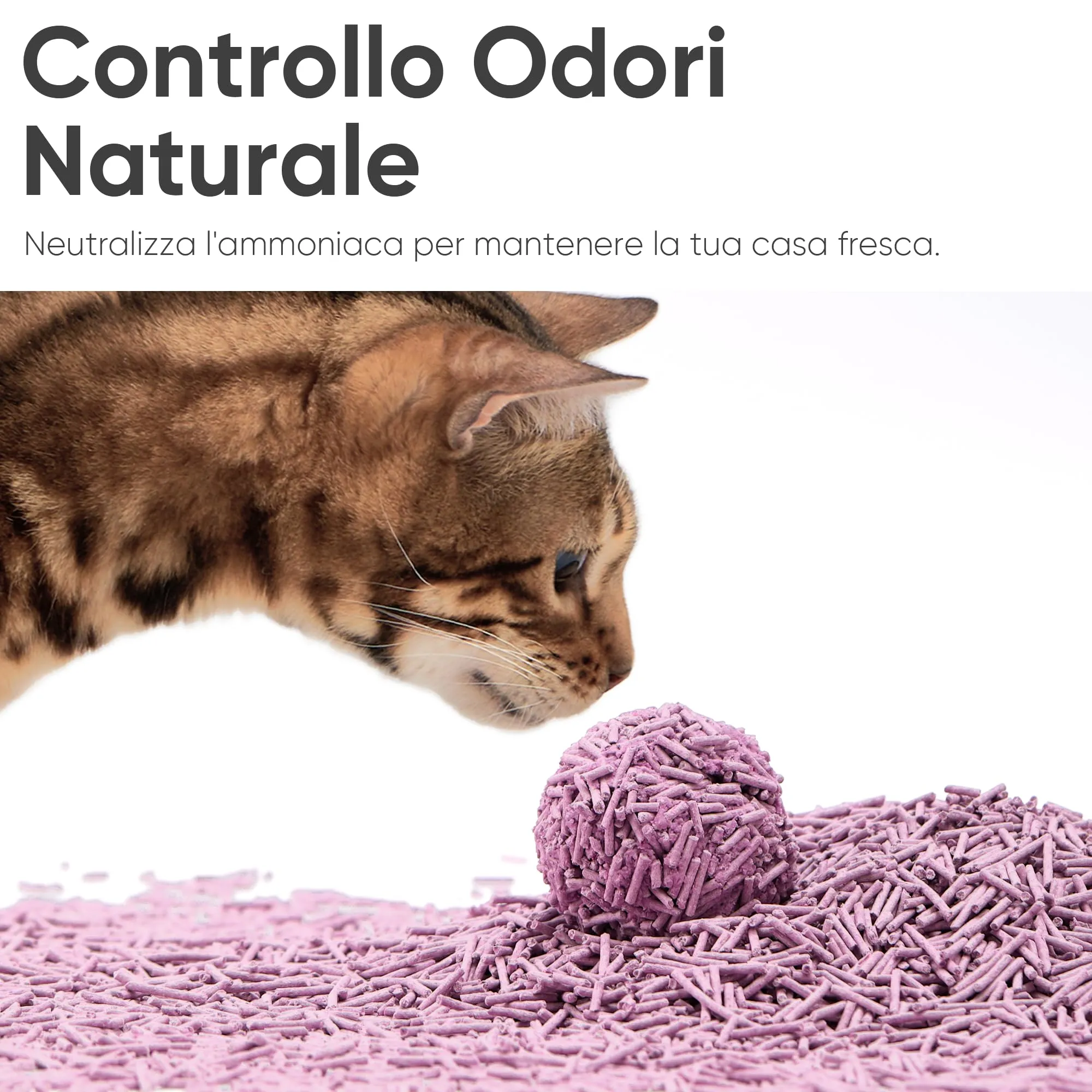 FUKUMARU Lettiera per Gatti al Tofu 12L, Lettiera Agglomerante Naturale di Mais e Fagioli, Senza Polvere, Biodegradabile, Agglomerazione Rapida,Controllo Odori Efficace,Smaltibile nel WC. - immagine 6