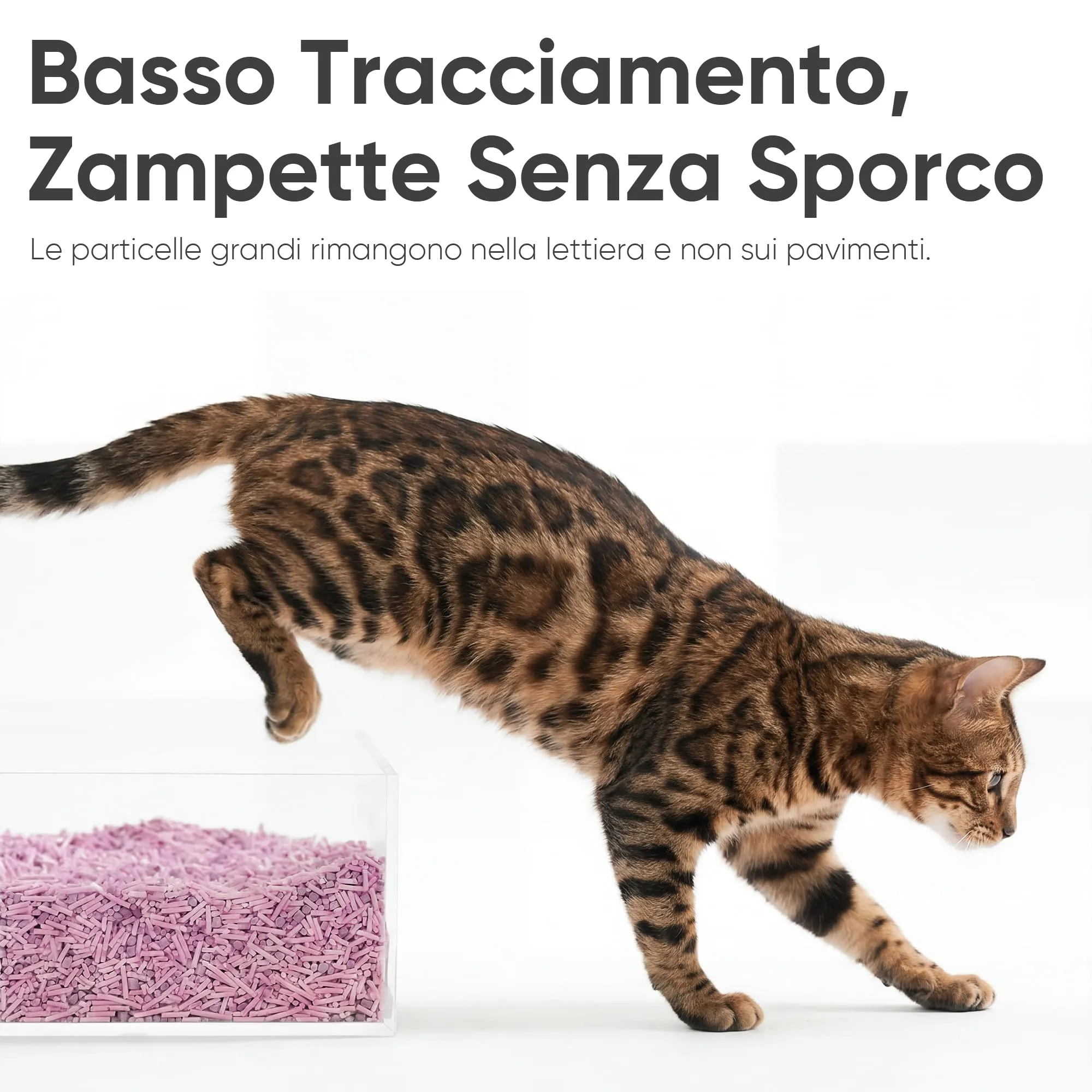 FUKUMARU Lettiera per Gatti al Tofu 12L, Lettiera Agglomerante Naturale di Mais e Fagioli, Senza Polvere, Biodegradabile, Agglomerazione Rapida,Controllo Odori Efficace,Smaltibile nel WC. - immagine 8