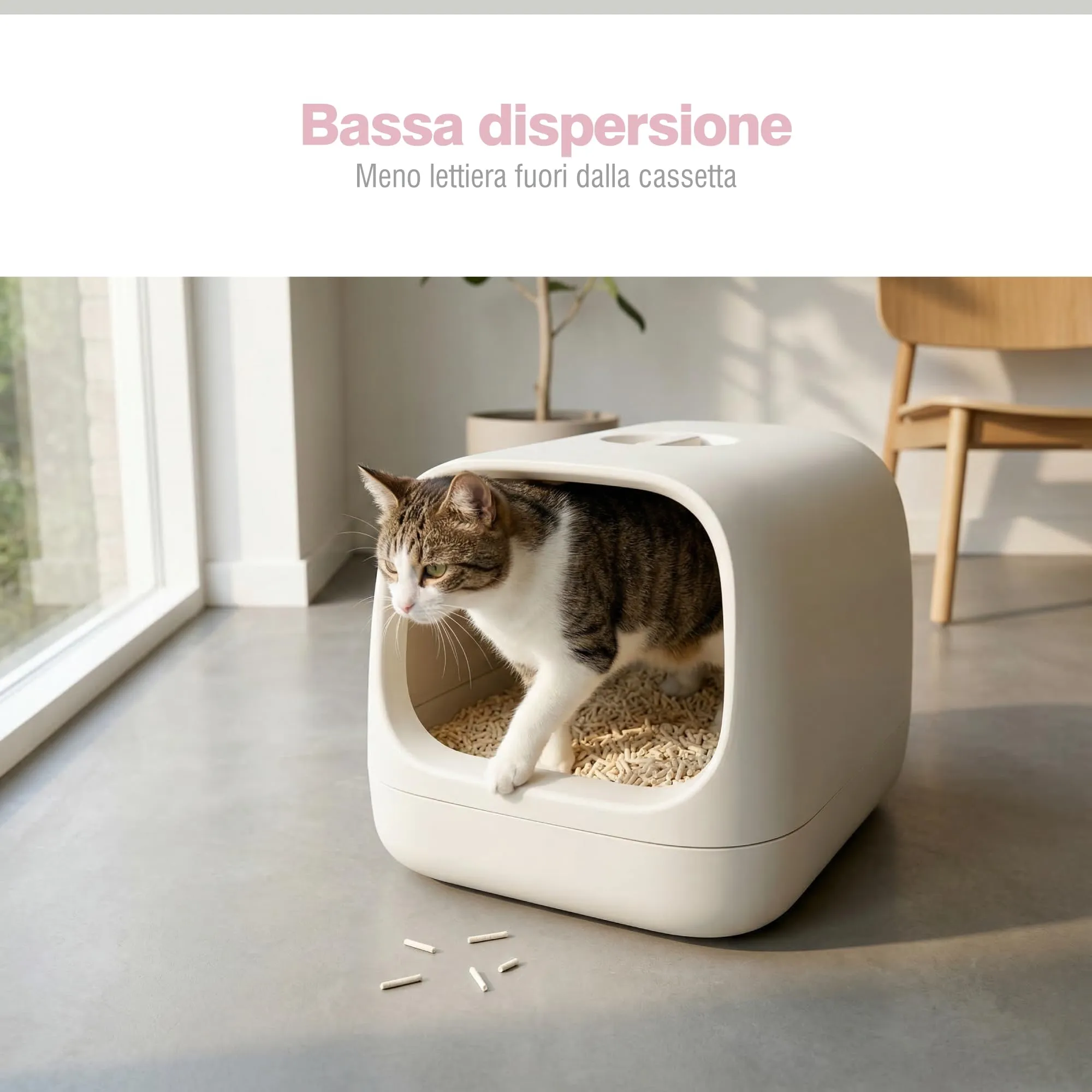 PORTENTUM Sabbia lettiera gatto agglomerante lettiera tofu 24 L senza profumo – Controllo degli odori e pulizia facile – Pellet vegetali che non si attaccano e mantengono il vassoio pulito - immagine 8