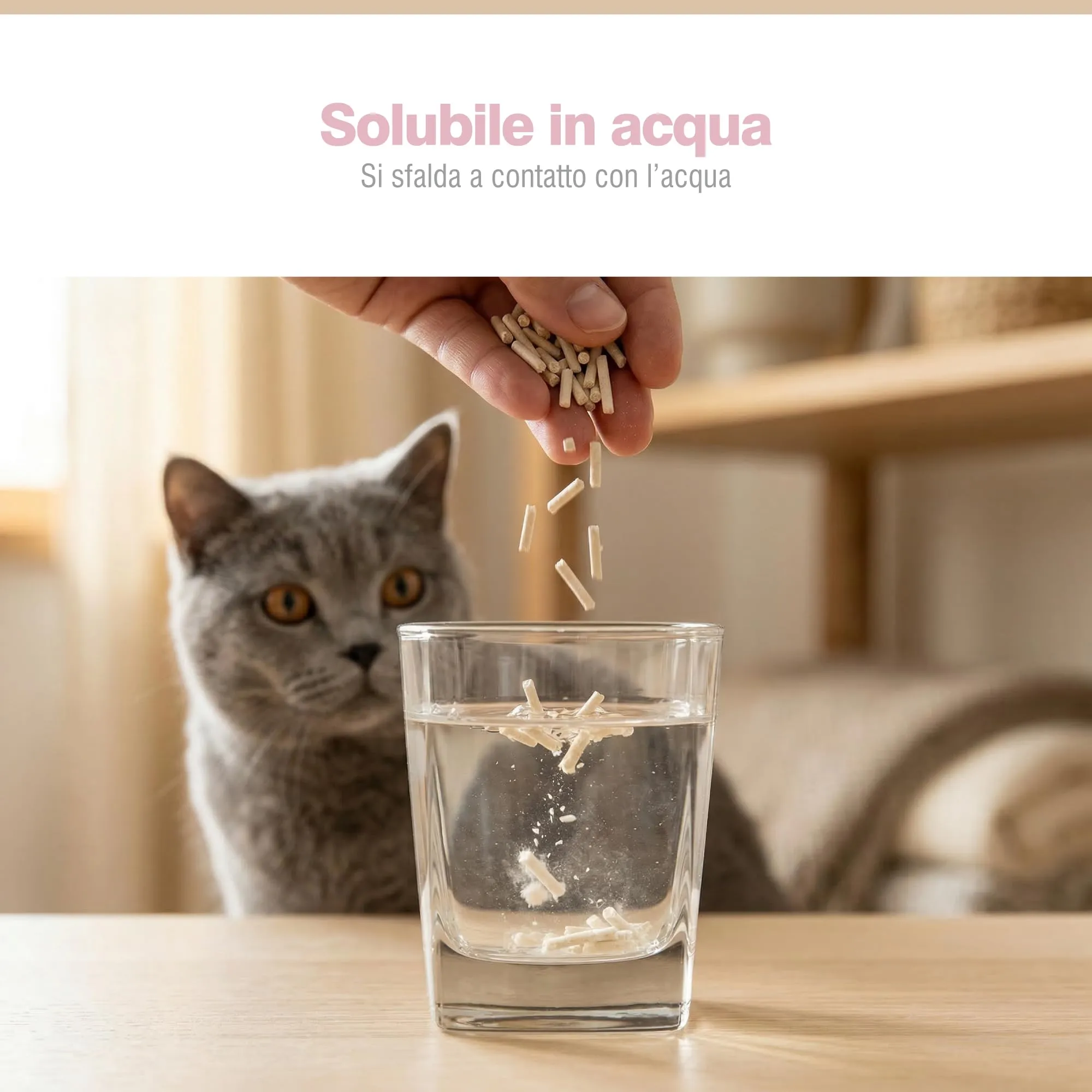 PORTENTUM Sabbia lettiera gatto agglomerante lettiera tofu 6 L senza profumo – Controllo degli odori e pulizia facile – Pellet vegetali che non si attaccano e mantengono il vassoio pulito - immagine 6