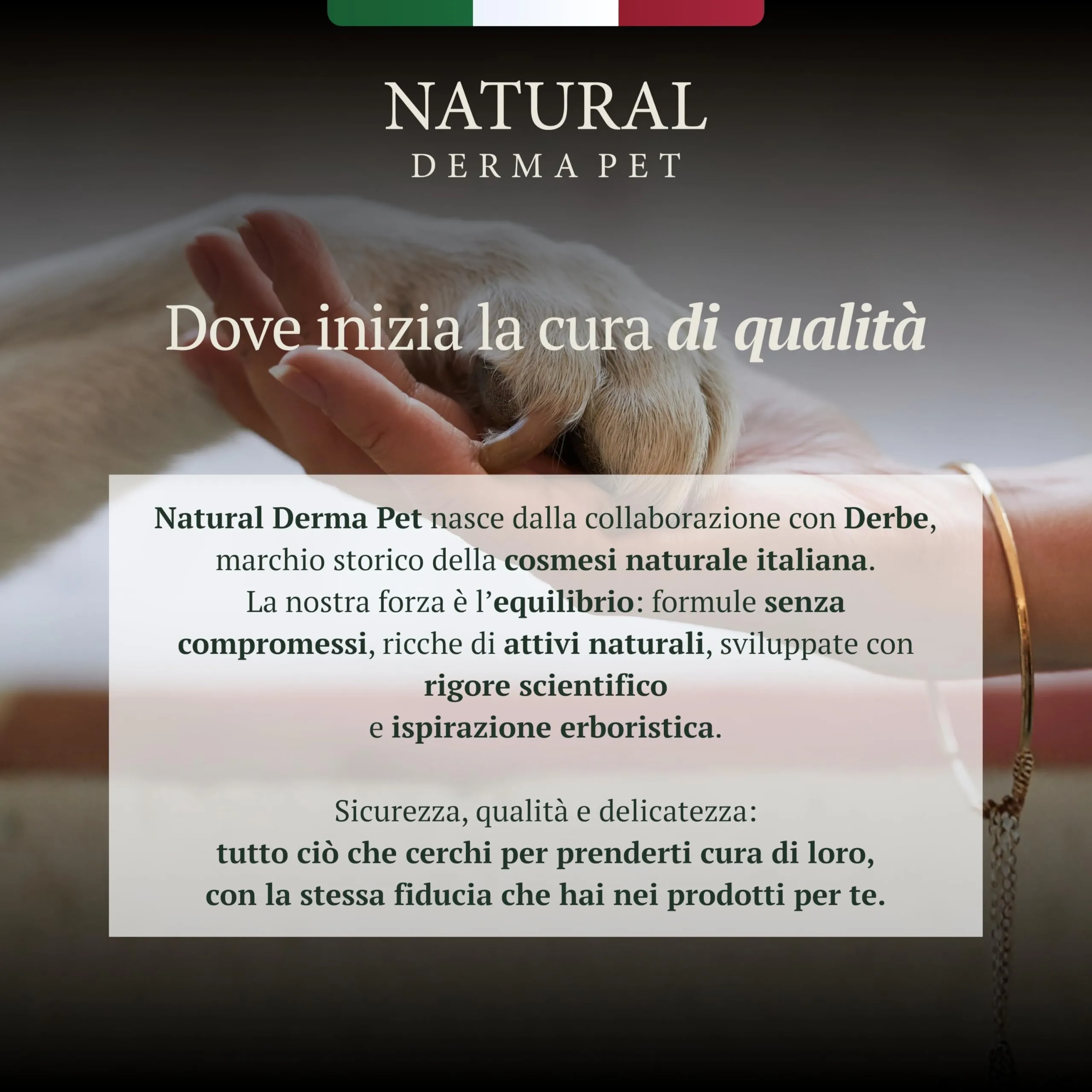 Natural Derma Pet Lettiera Gatto Agglomerante al Mais da 6 L - immagine 8