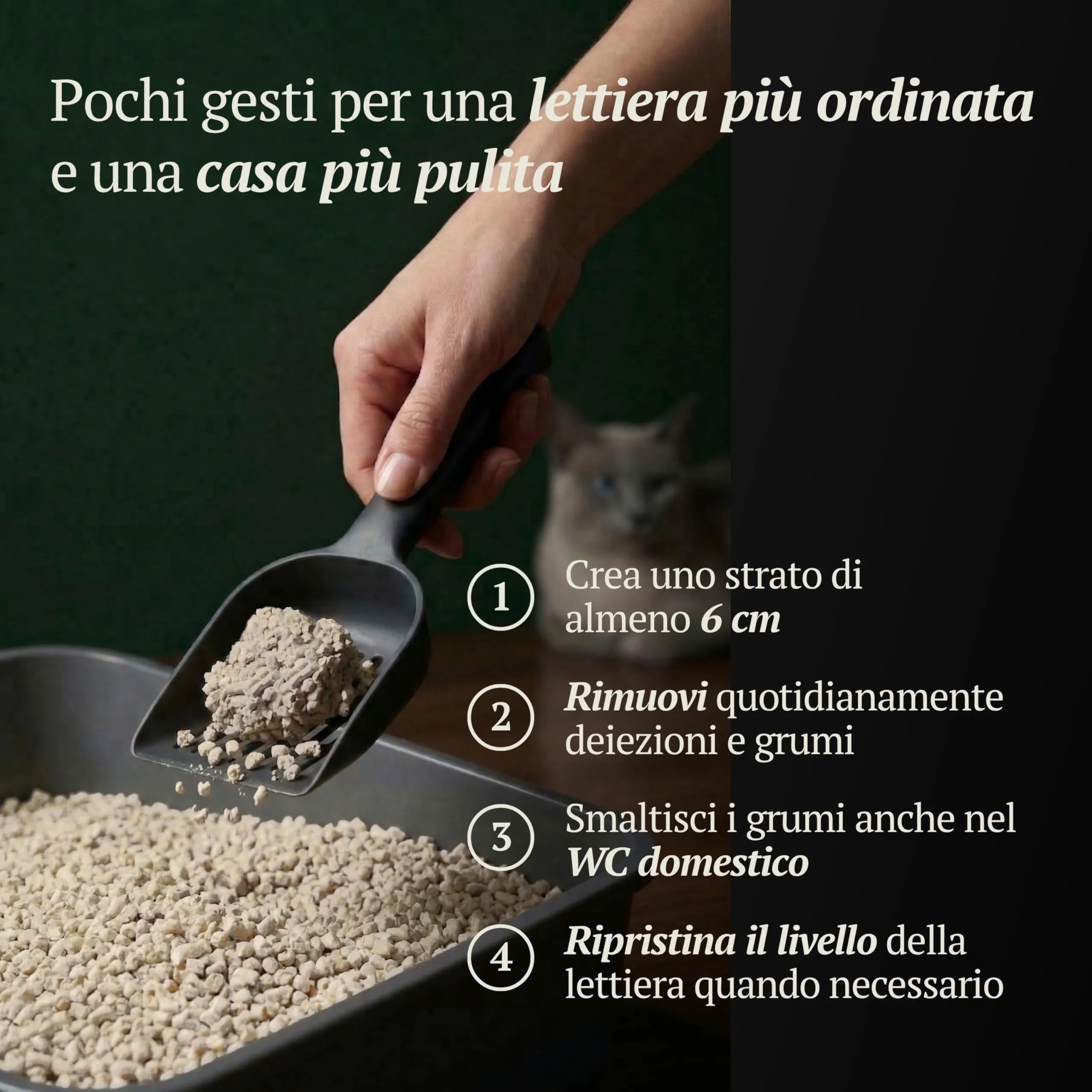 Natural Derma Pet Lettiera Gatto Agglomerante Peonia e Bouganville da 6 L - immagine 5