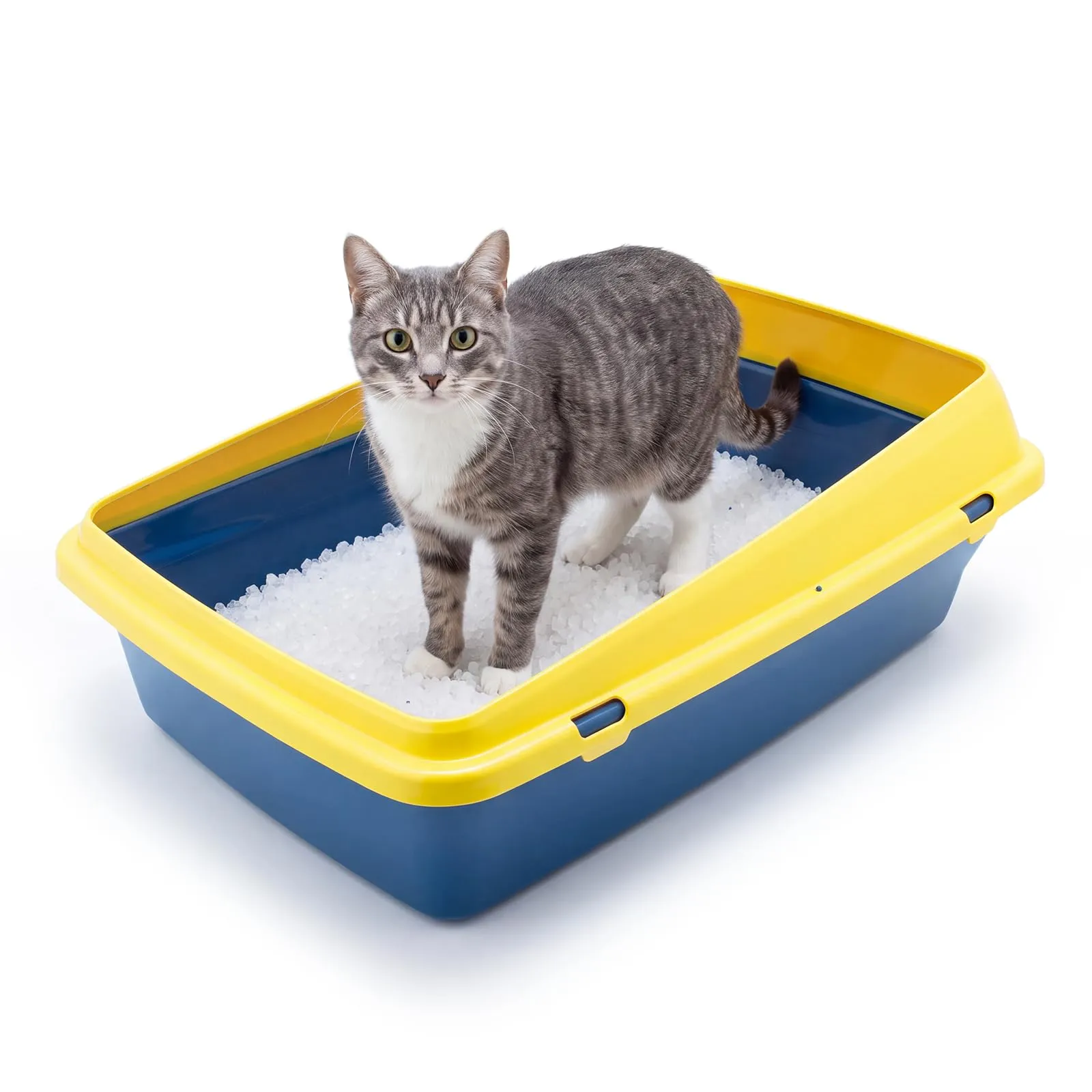 Animal House Lettiera per Gatti Lunis Con Bordo, Vaschetta L - immagine 1