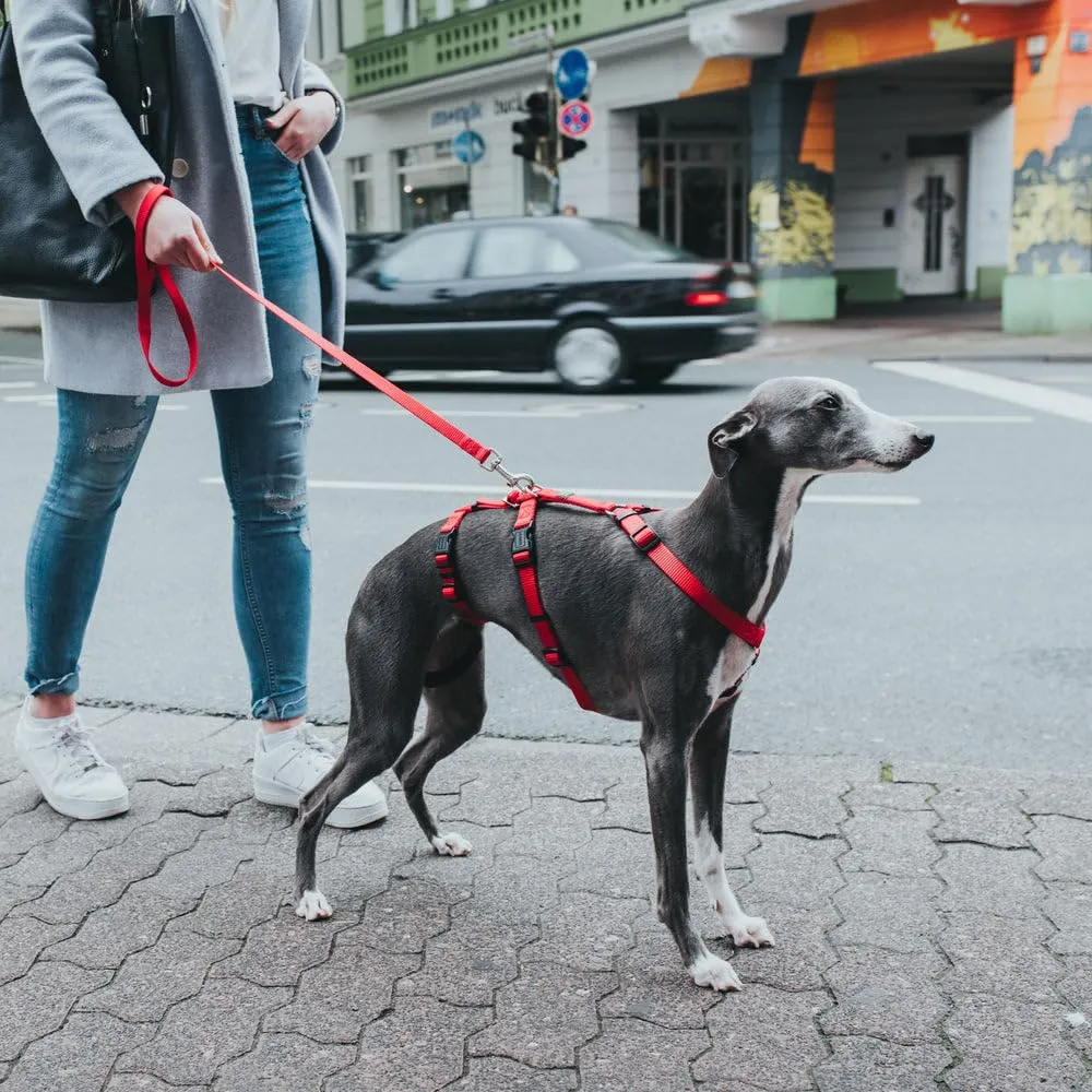 Hunter Vario Rapid - Imbracatura anti-panico per cani in nylon aderente, resistente agli strappi - immagine 4