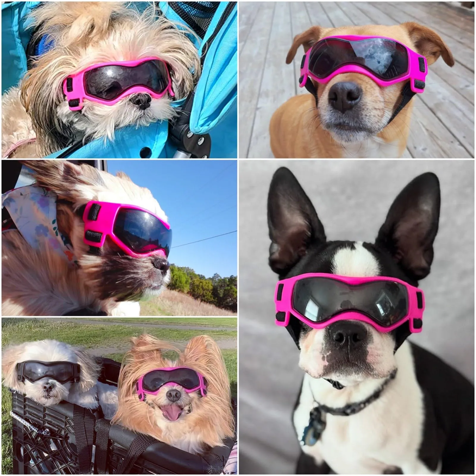 Enjoying Occhiali per Cani Taglia Piccola, Occhiali da Sole per Cucciolo Moto, Gatti Adulti Occhiali Cane, Protezione UV, Regolabile, Cool Rosa - immagine 2