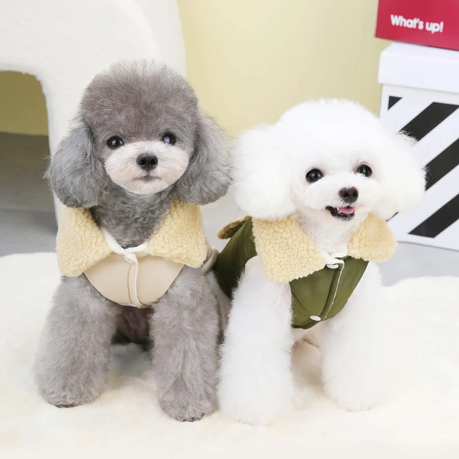 Izefia Cappotto del Cane Freddo Antivento Giacca Felpa Calda Invernale Vestiti Spessi Collare di Pelliccia Stile Nordico Cappotto del Cane Piccolo Gatto Medio - immagine 8