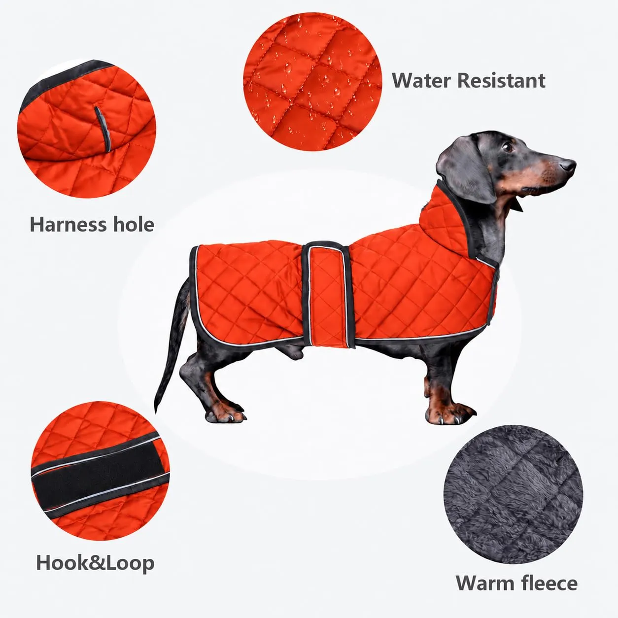 Morezi - Cappotto invernale per bassotti con fodera in pile - Arancione, L - immagine 2