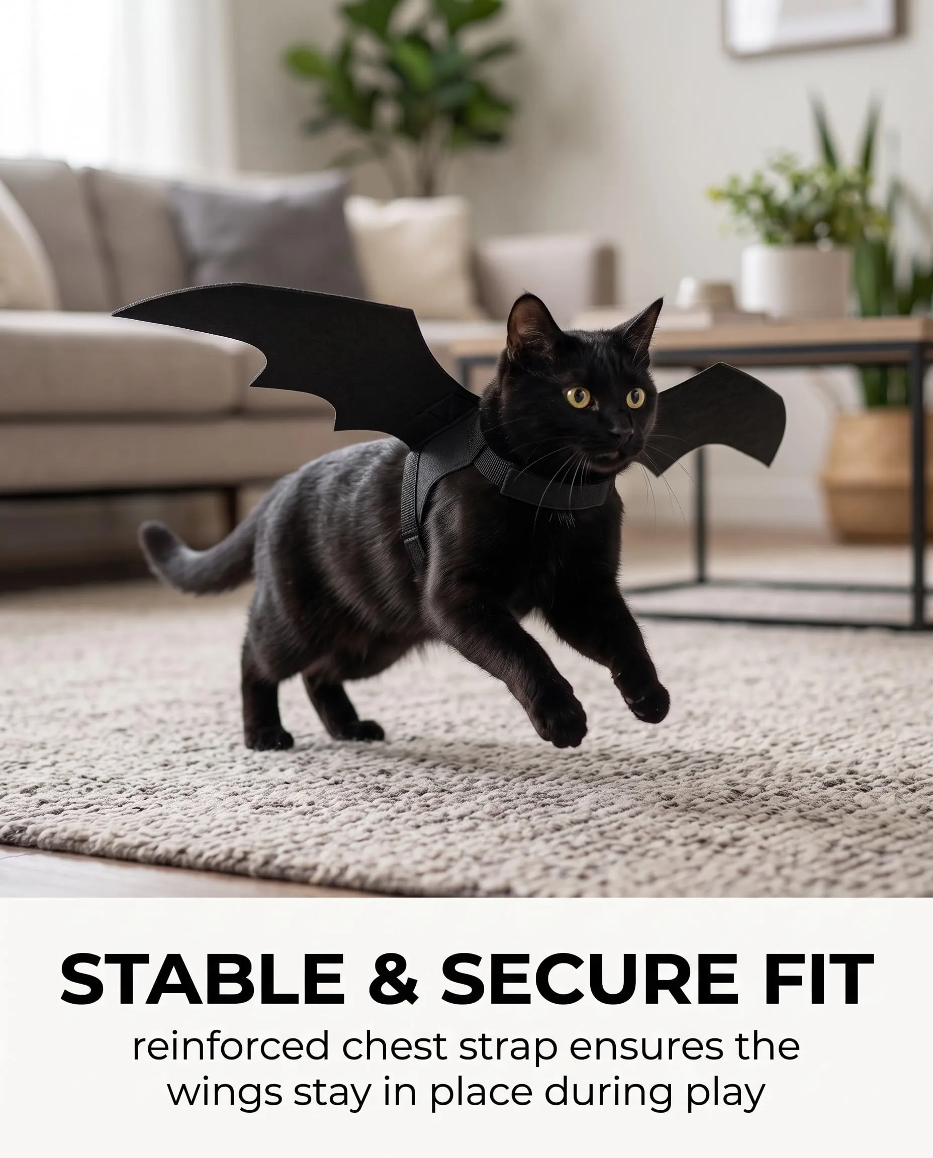 GBEDFO Costume Da Pipistrello Gatto Con Ali Medio, Costume Halloween Per Gatti E Gattini, Ali Di Pipistrello Per Gatto Cosplay, Vestito Nero Facile Da Indossare Per Festa Halloween - immagine 6