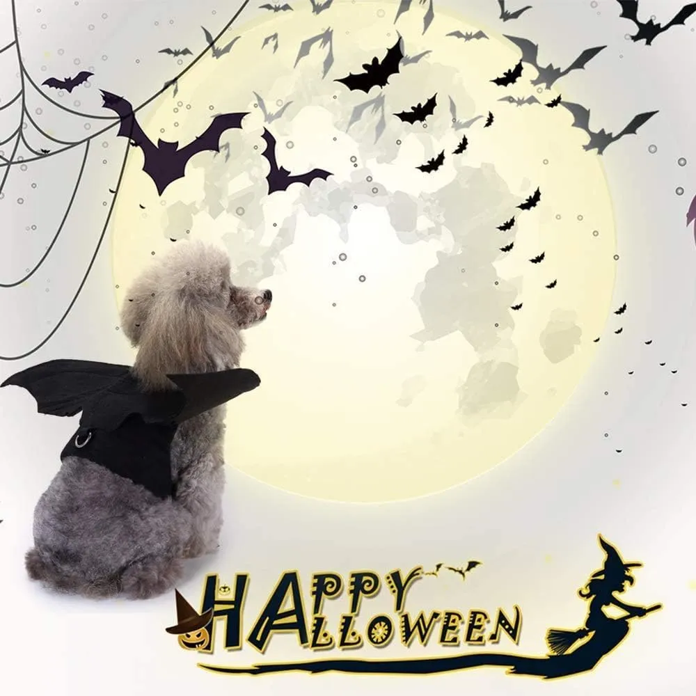Costume Halloween per Cani Taglia Piccola, Ali Pipistrello da Chihuahua - immagine 3