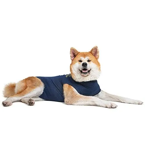 MPS Medical Pet Shirt, Cane, Blu, XXL - immagine 2
