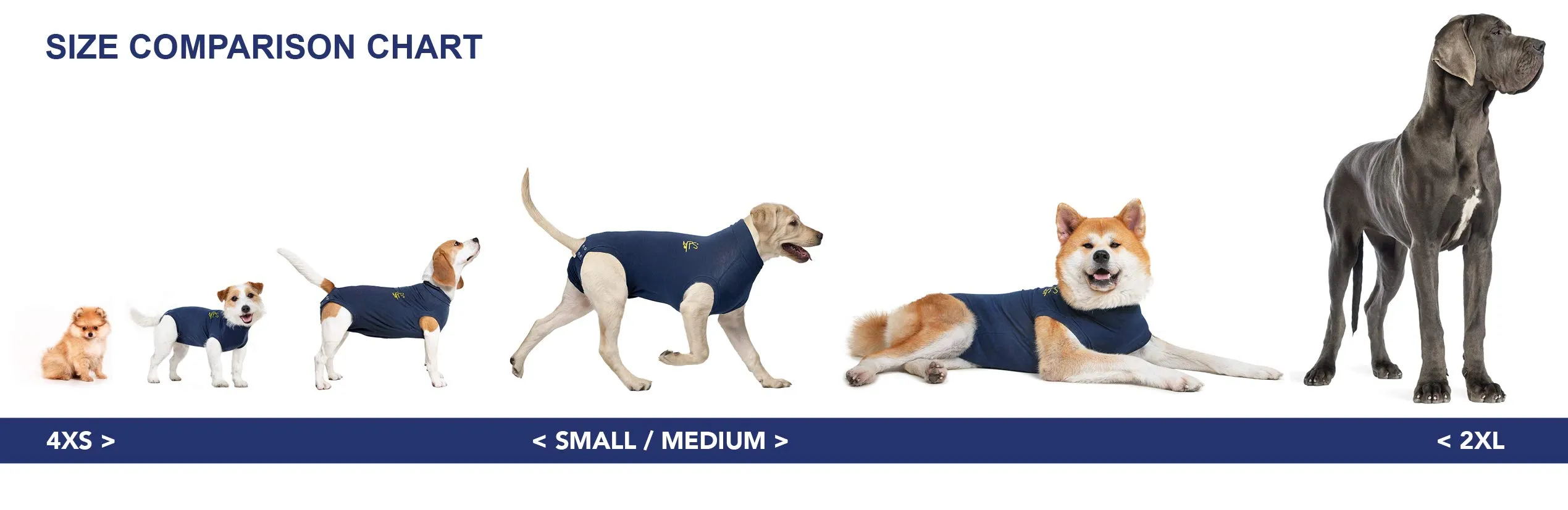 MPS Medical Pet Shirt, Cane, Blu, XXS - immagine 5
