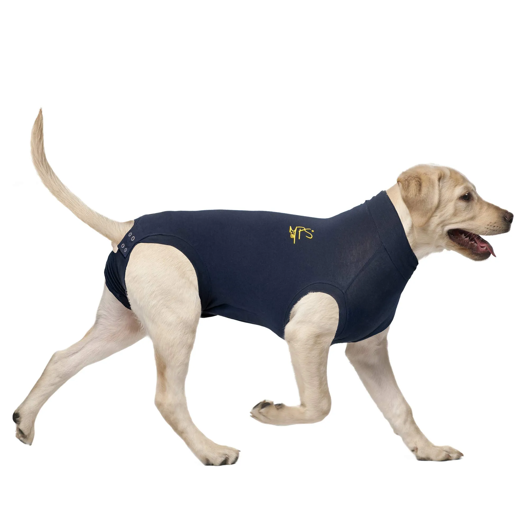 MPS Medical Pet Shirt, Cane, Blu, M+ - immagine 1
