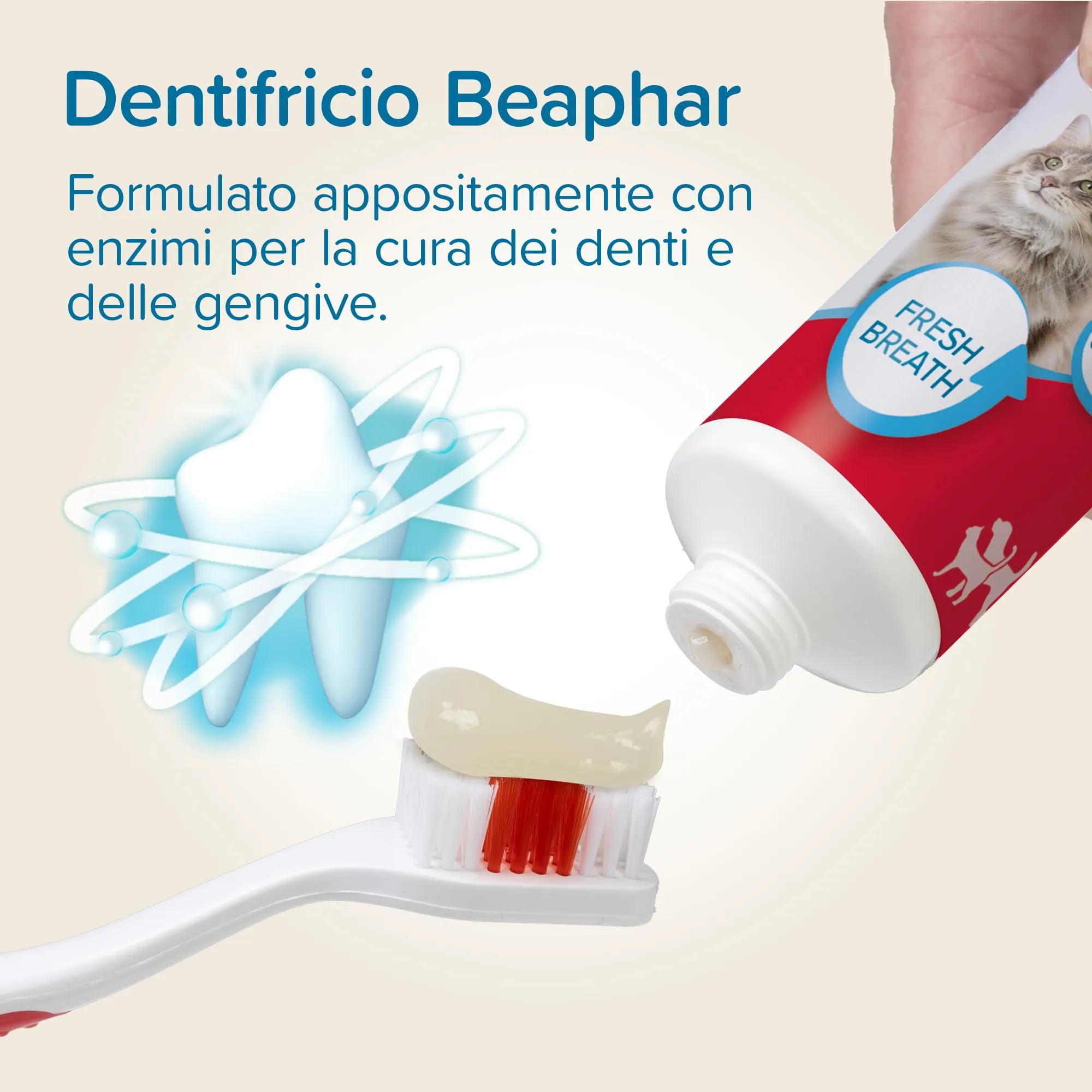 Beaphar, Dentifricio per Cani e Gatti, Protezione Completa Anti-Placca e Anti-Tartaro, Aromatizzato al Fegato, Uso Quotidiano, 100 g - immagine 3