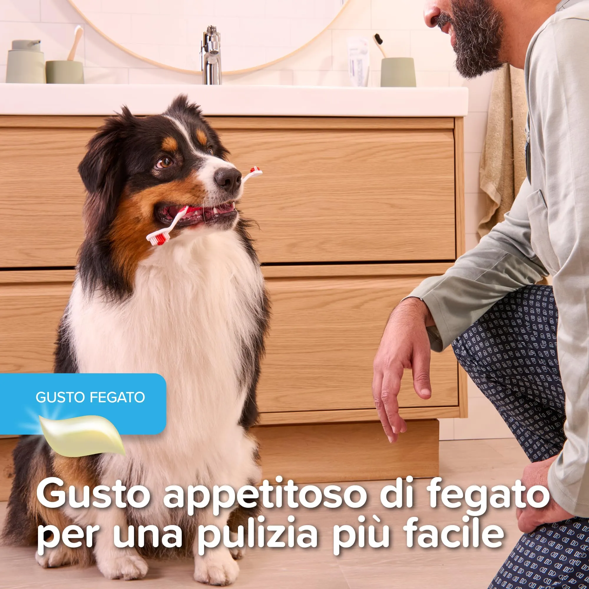 Beaphar, Dentifricio per Cani e Gatti, Protezione Completa Anti-Placca e Anti-Tartaro, Aromatizzato al Fegato, Uso Quotidiano, 100 g - immagine 5