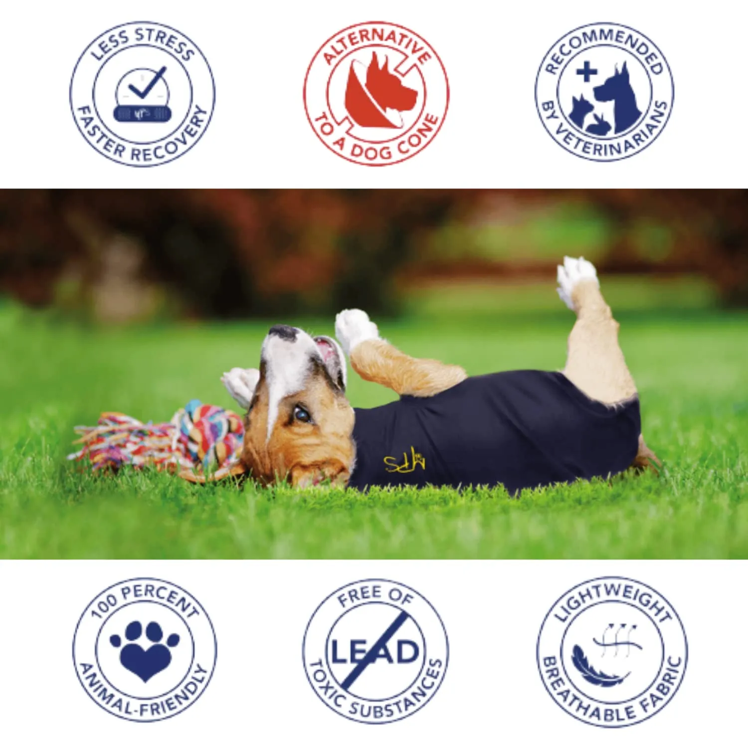 MPS Medical Pet Shirt, Cane, Blu, XXXS - immagine 4