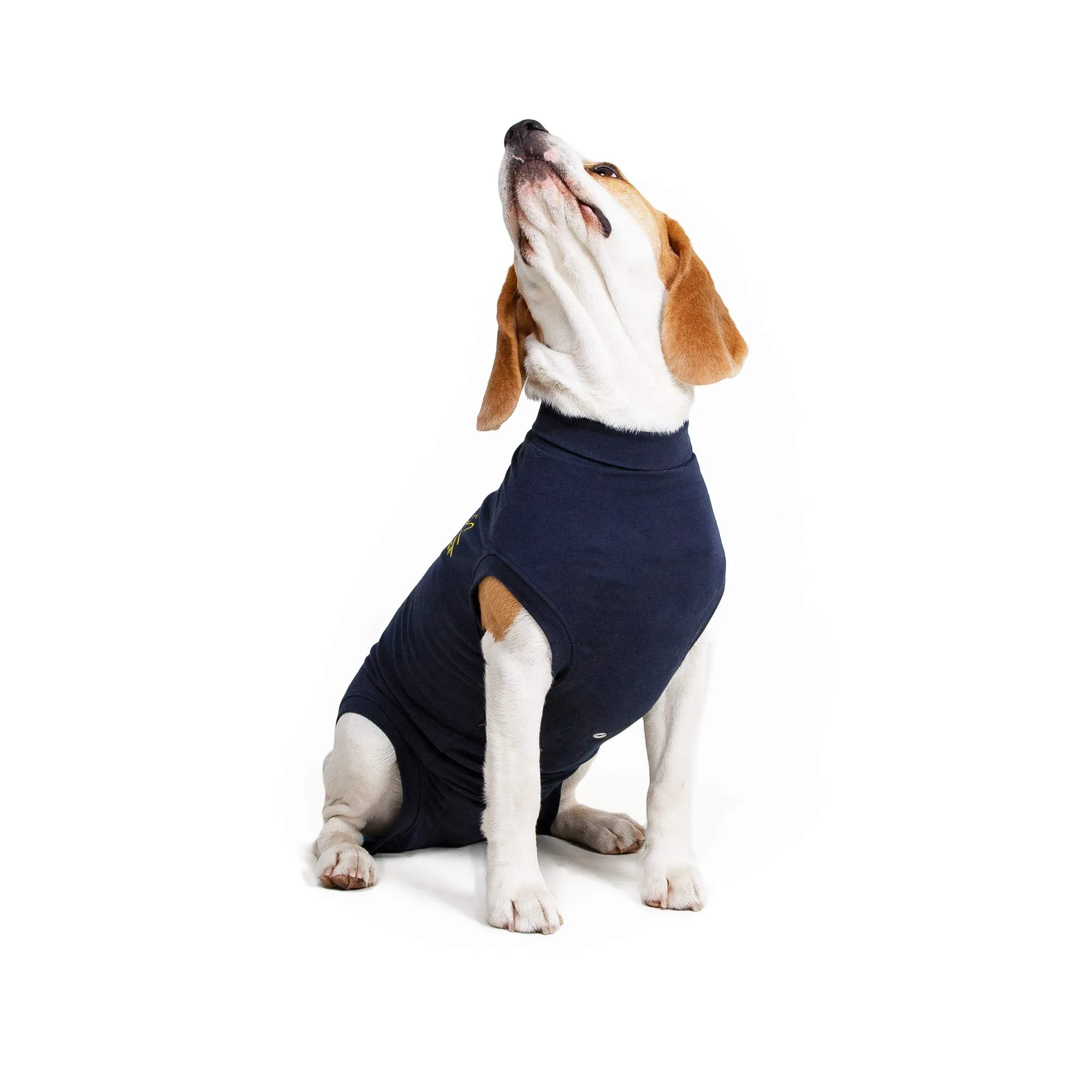MPS Medical Pet Shirt, Cane, Blu, S+ - immagine 2