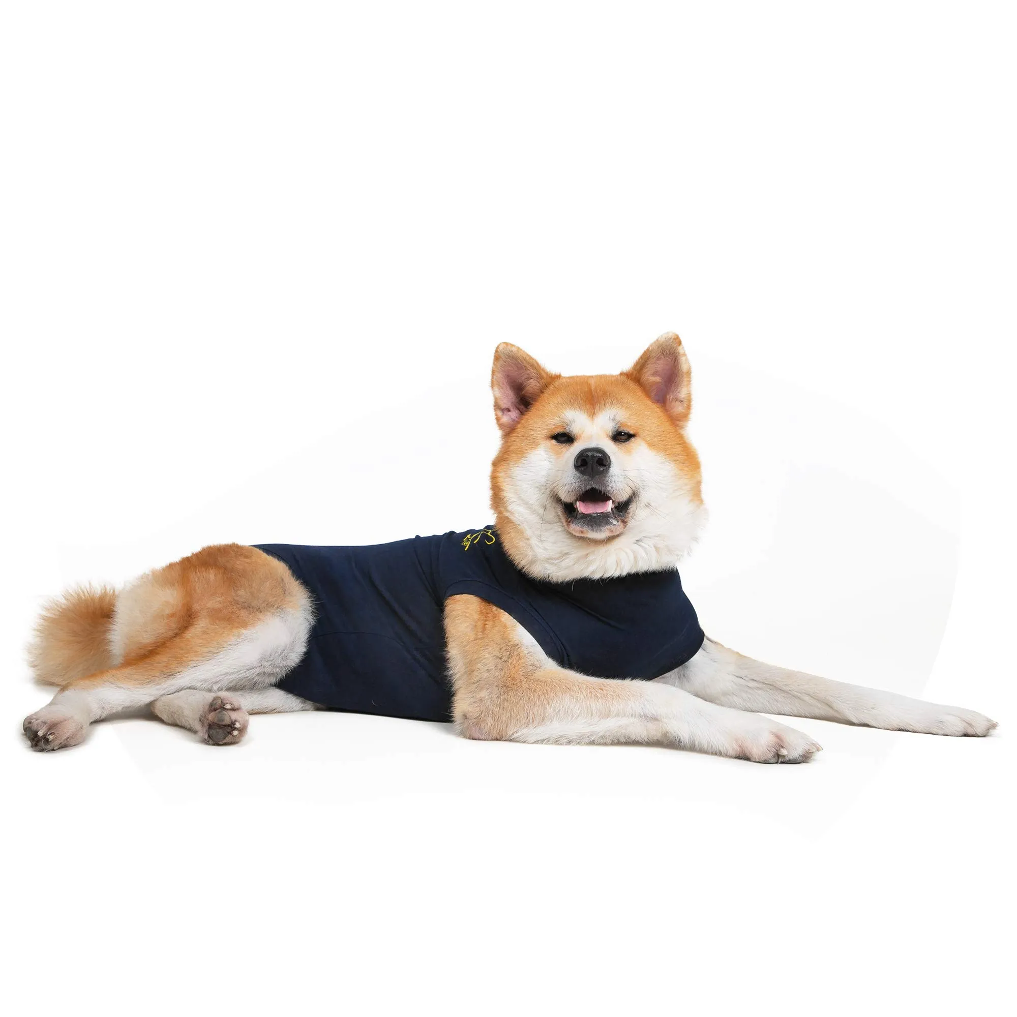 MPS Medical Pet Shirt, Cane, Blu, L - immagine 2