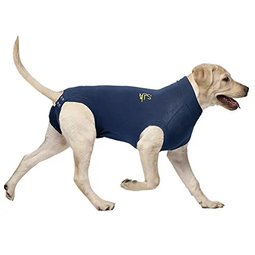 MPS Medical Pet Shirt, Cane, Blu, XL - immagine 2