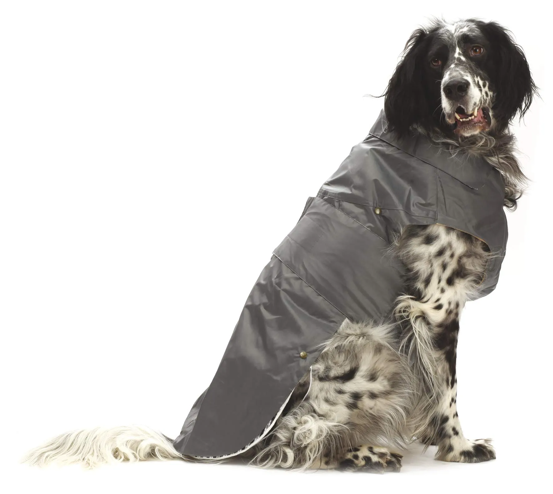 CROCI, MONTREAL, Cappotto per cani, Mantello invernale, Giacca impermeabile, Taglia 30 cm, Grigio - immagine 1