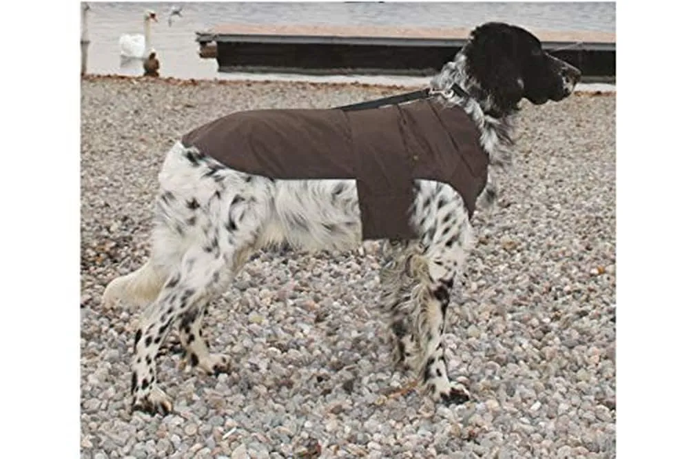 Croci Montreal - Cappotto per cani, Mantello invernale, Giacca impermeabile, Taglia 35 cm, Marrone - immagine 2
