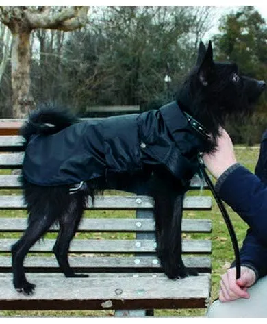 Croci Montreal - Cappotto per cani, Mantello invernale, Giacca impermeabile, Taglia 45 cm, Nero - immagine 3