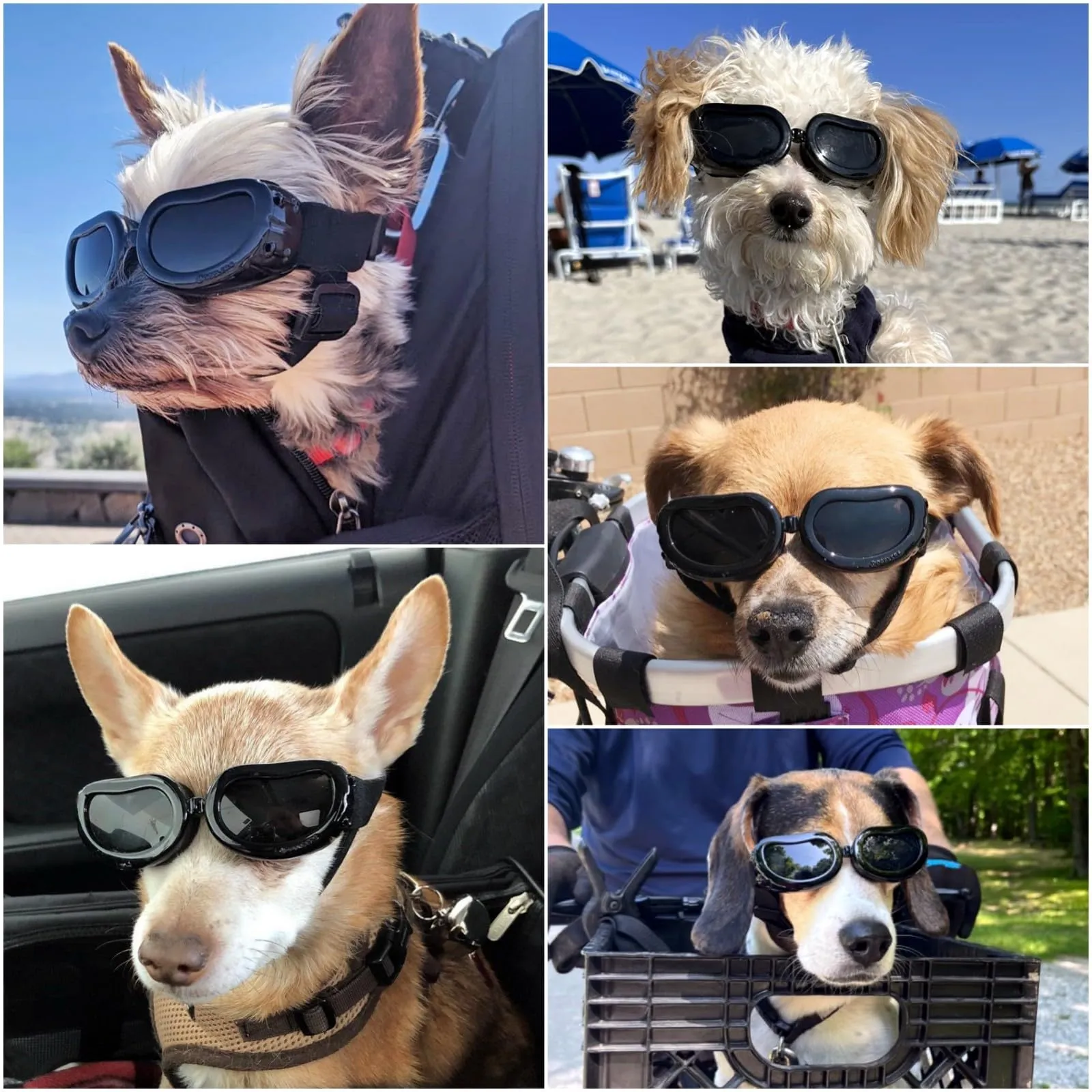 Enjoying Occhiali da Sole per Cucciolo Moto, Occhiali per Cani Taglia Piccola, Gatti Adulti Occhiali Cane, Protezione UV, Regolabile, Nero - immagine 2