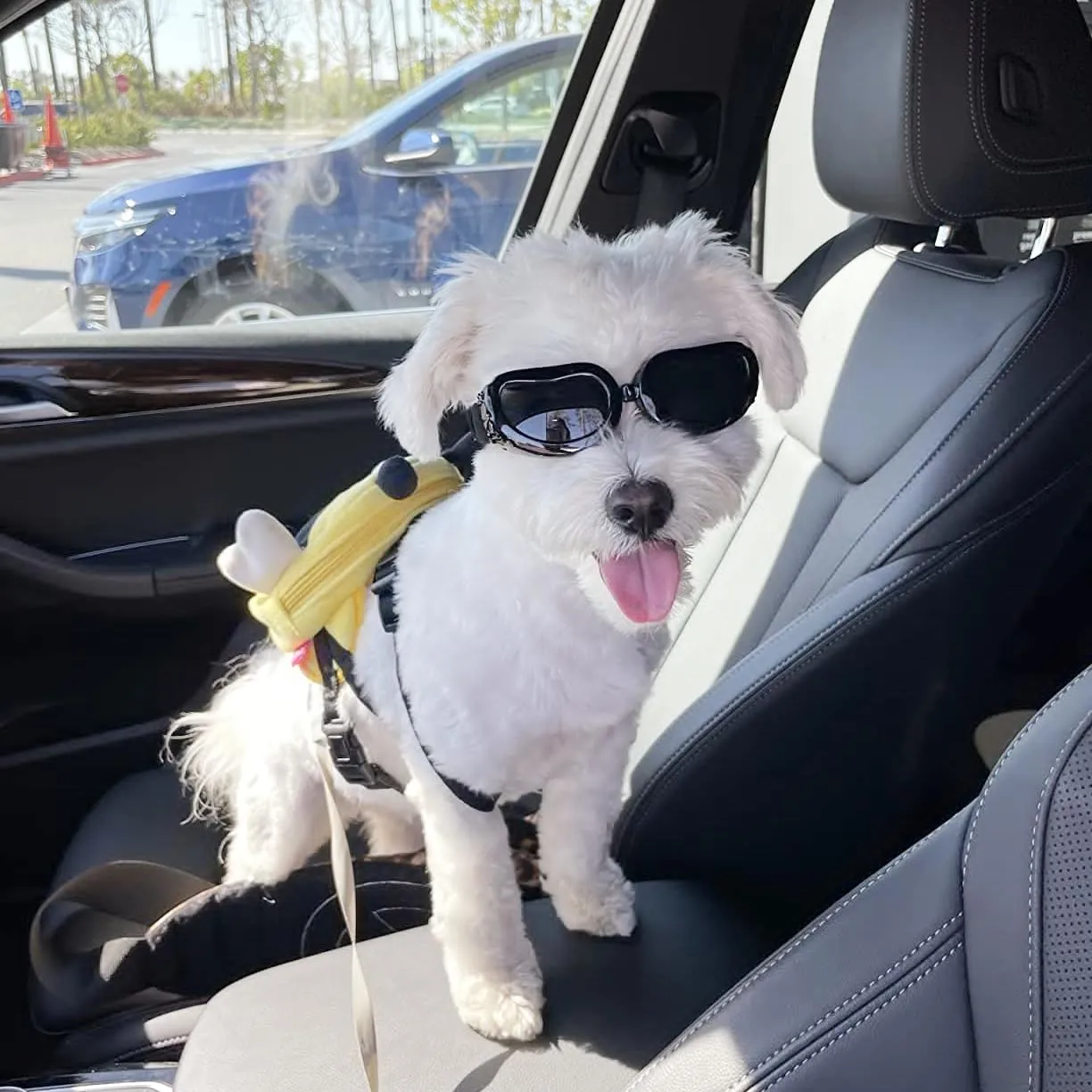 Enjoying Occhiali da Sole per Cucciolo Moto, Occhiali per Cani Taglia Piccola, Gatti Adulti Occhiali Cane, Protezione UV, Regolabile, Nero - immagine 6
