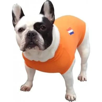 MPS Medical Pet Shirt, Cane, Arancione, S+ - immagine 1