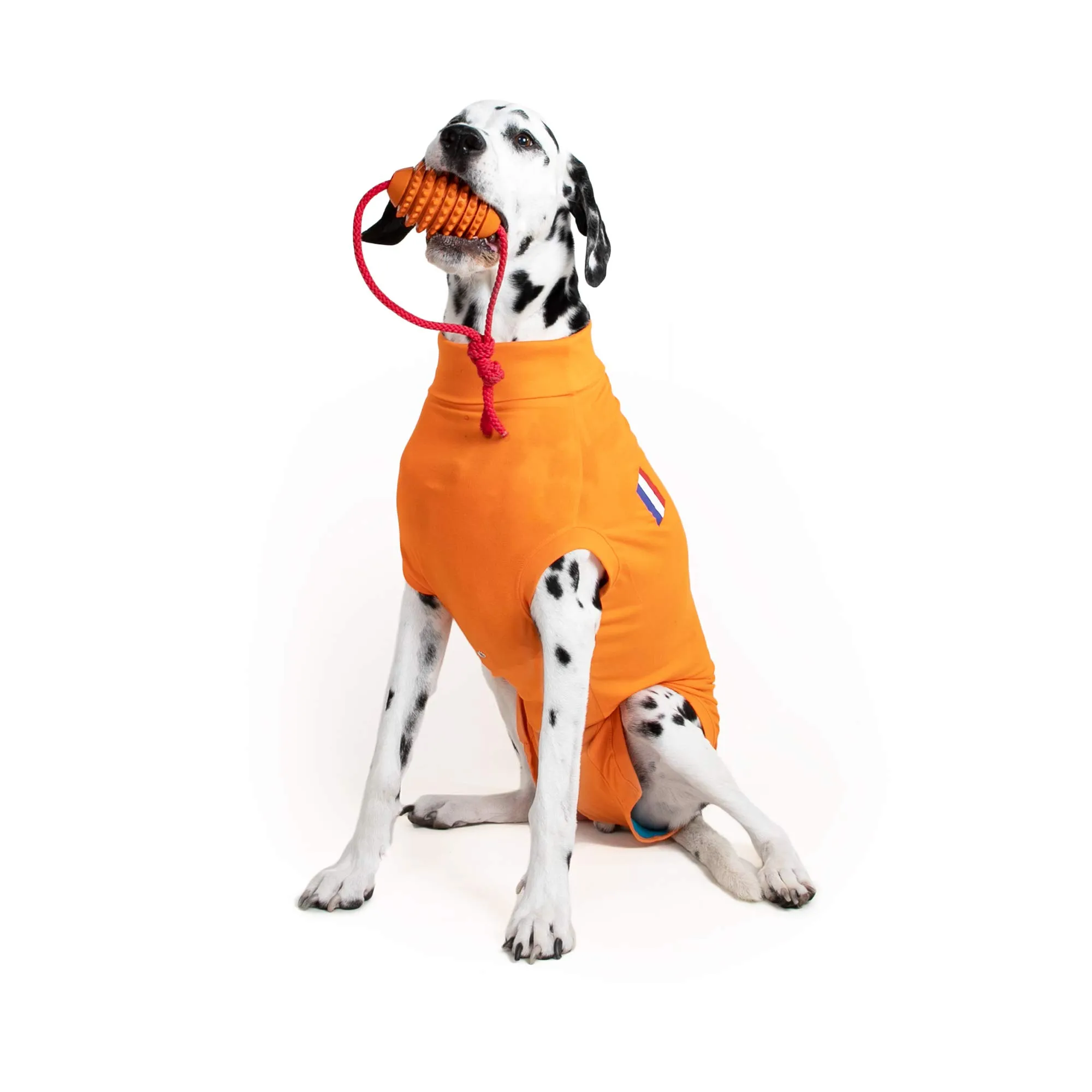 MPS Medical Pet Shirt, Cane, Arancione, S - immagine 2