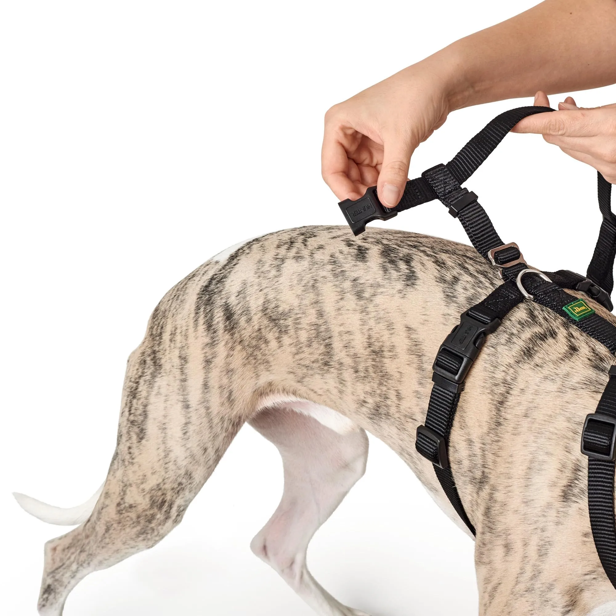 Hunter Vario Rapid - Imbracatura Anti-panico per Cani in Nylon Aderente, Resistente agli Strappi - immagine 7