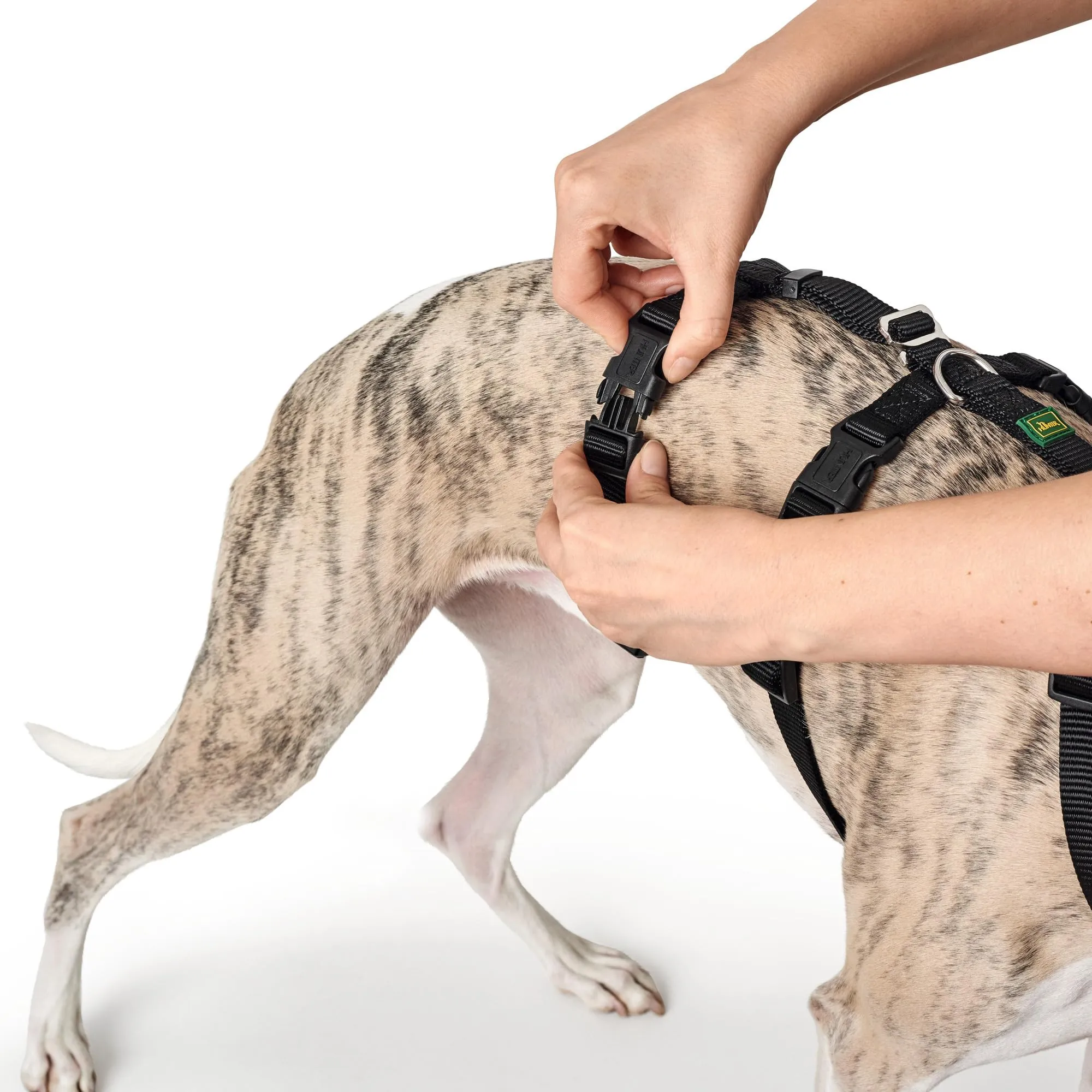 Hunter Vario Rapid - Imbracatura Anti-panico per Cani in Nylon Aderente, Resistente agli Strappi - immagine 9