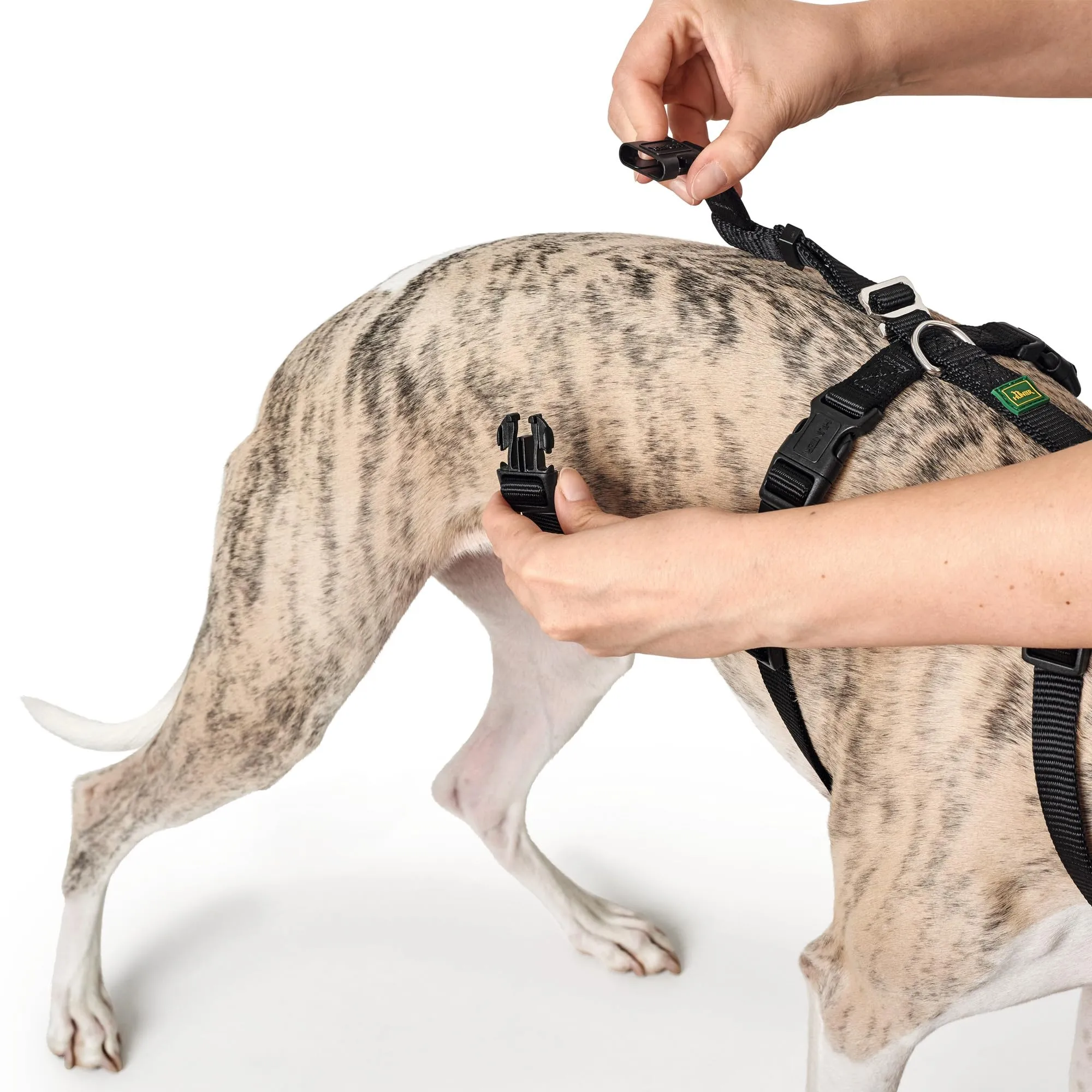 Hunter Vario Rapid - Imbracatura anti-panico per cani, Nylon aderente, Resistente agli strappi, Nero, Taglia S-M - immagine 7