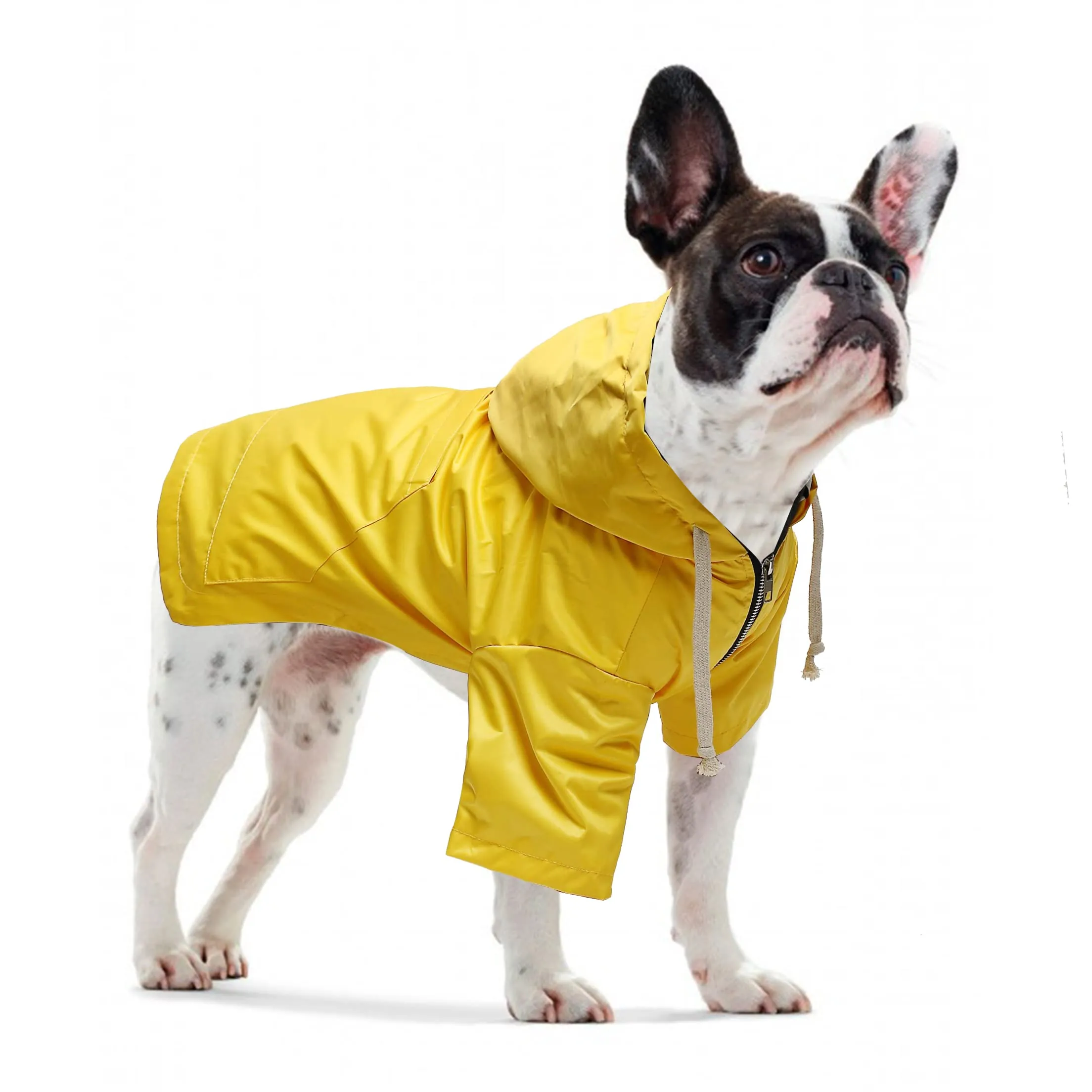 Pethiy - Stile elegante Impermeabile per Cani con cerniera e cappuccio,tasche,leggero poncho con Coulisse e con zampe-Giallo-M - immagine 2